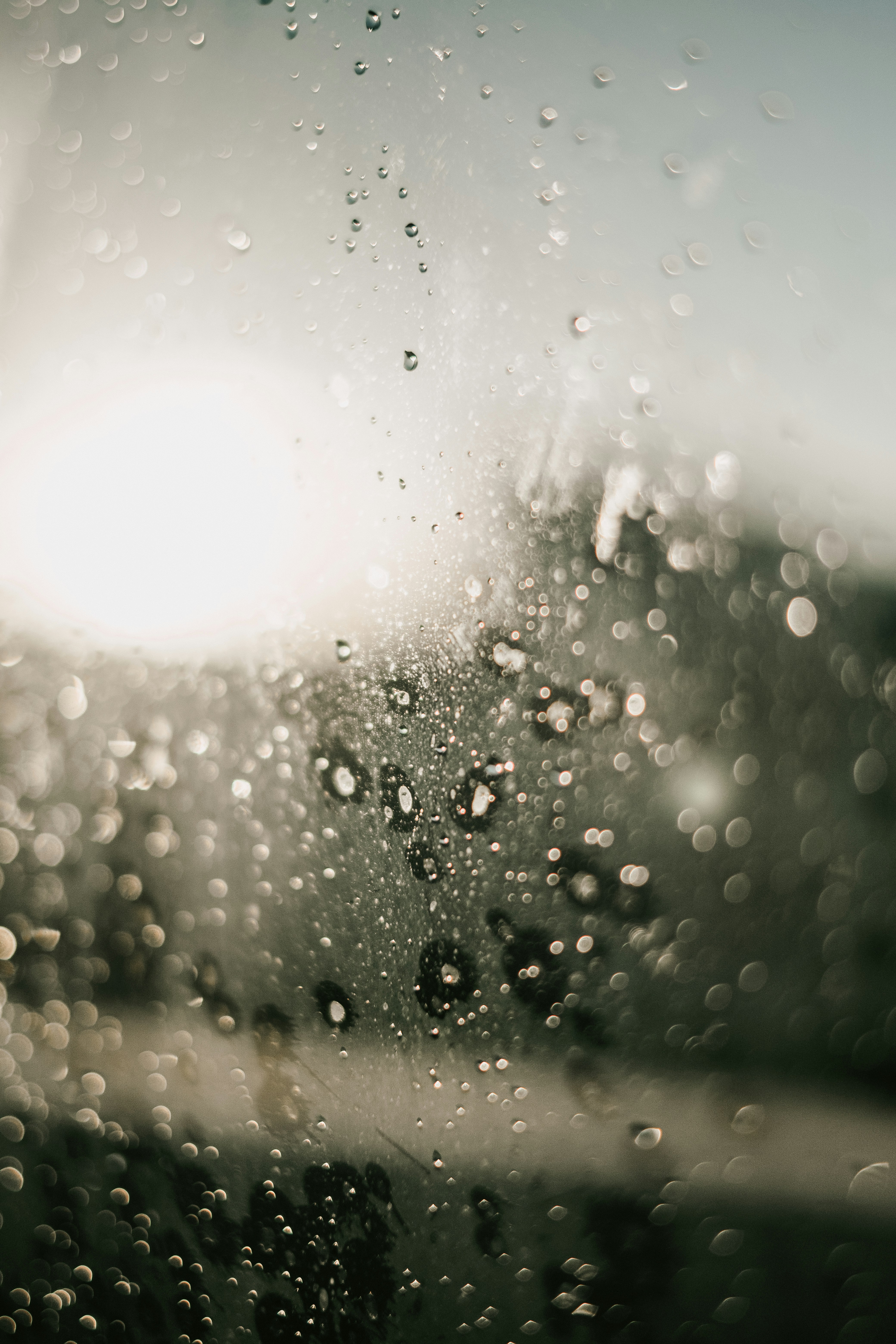 Photo by dillydallying