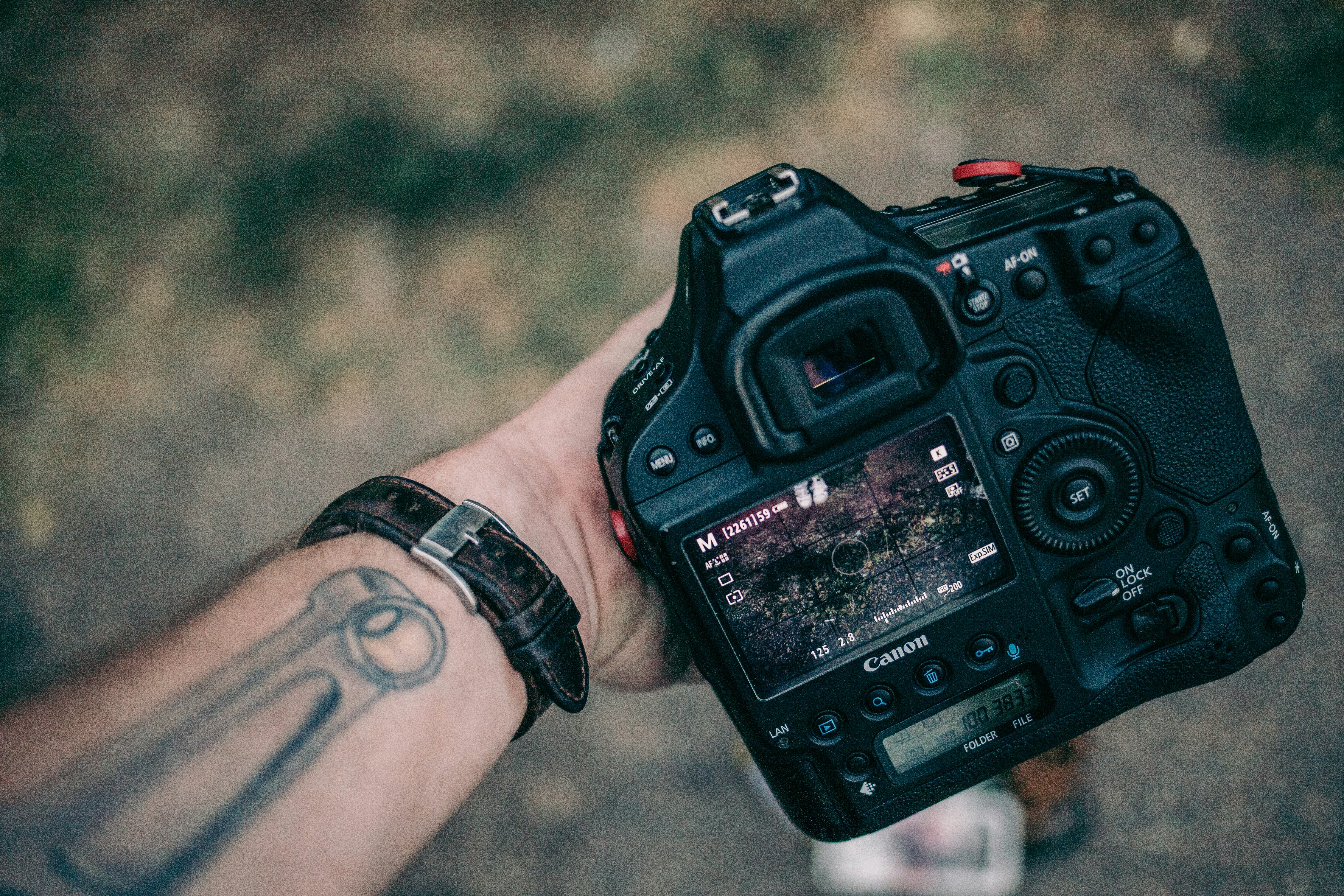 Photo by dillydallying