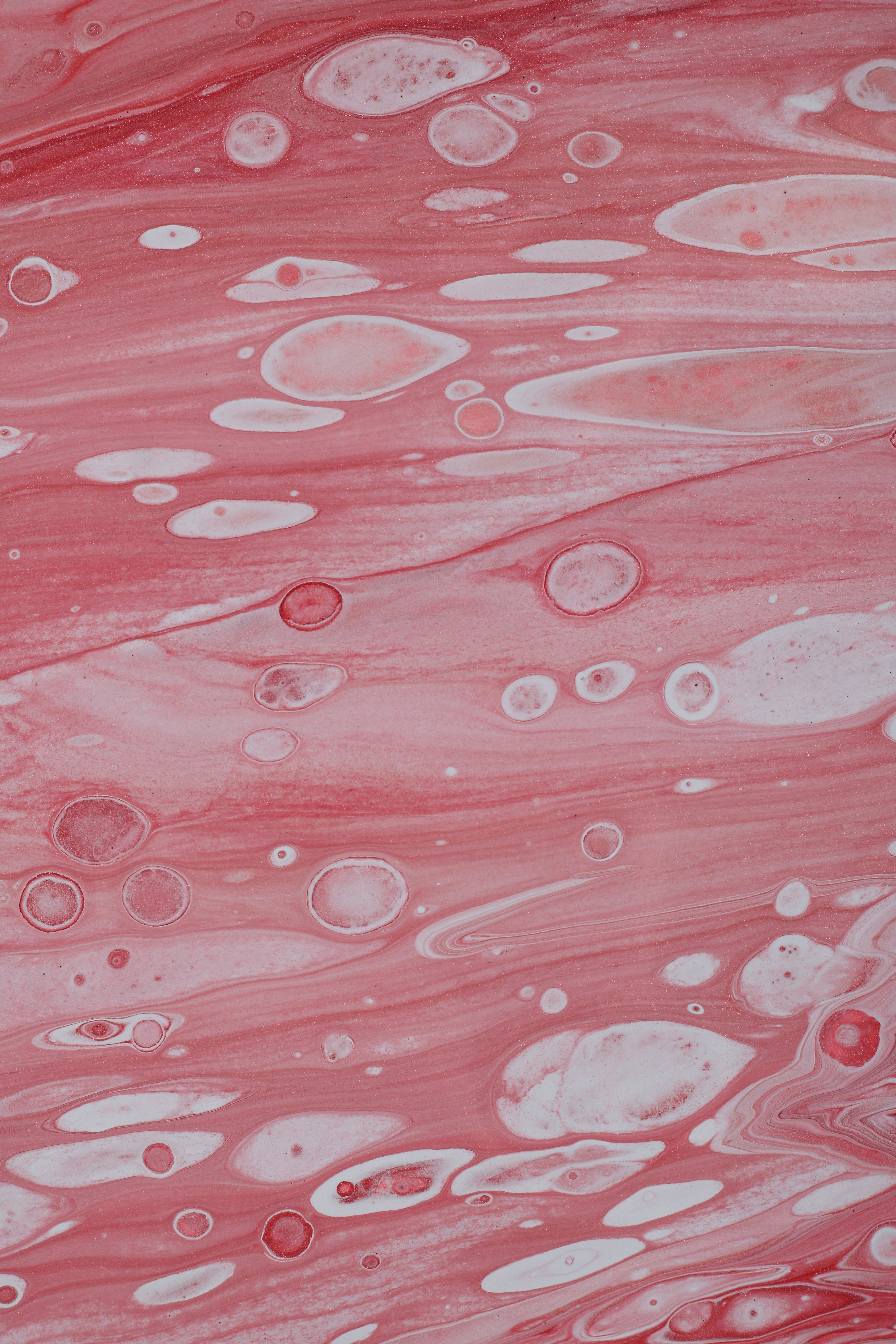 Photo by susan_wilkinson