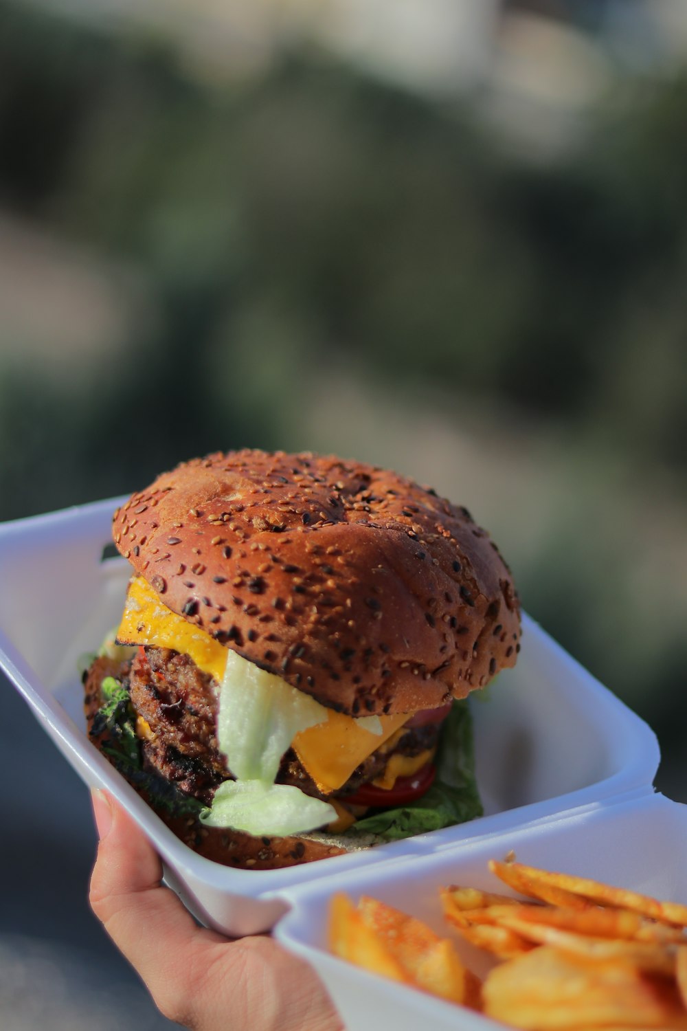 a person holding a tray with a hamburger and french fries