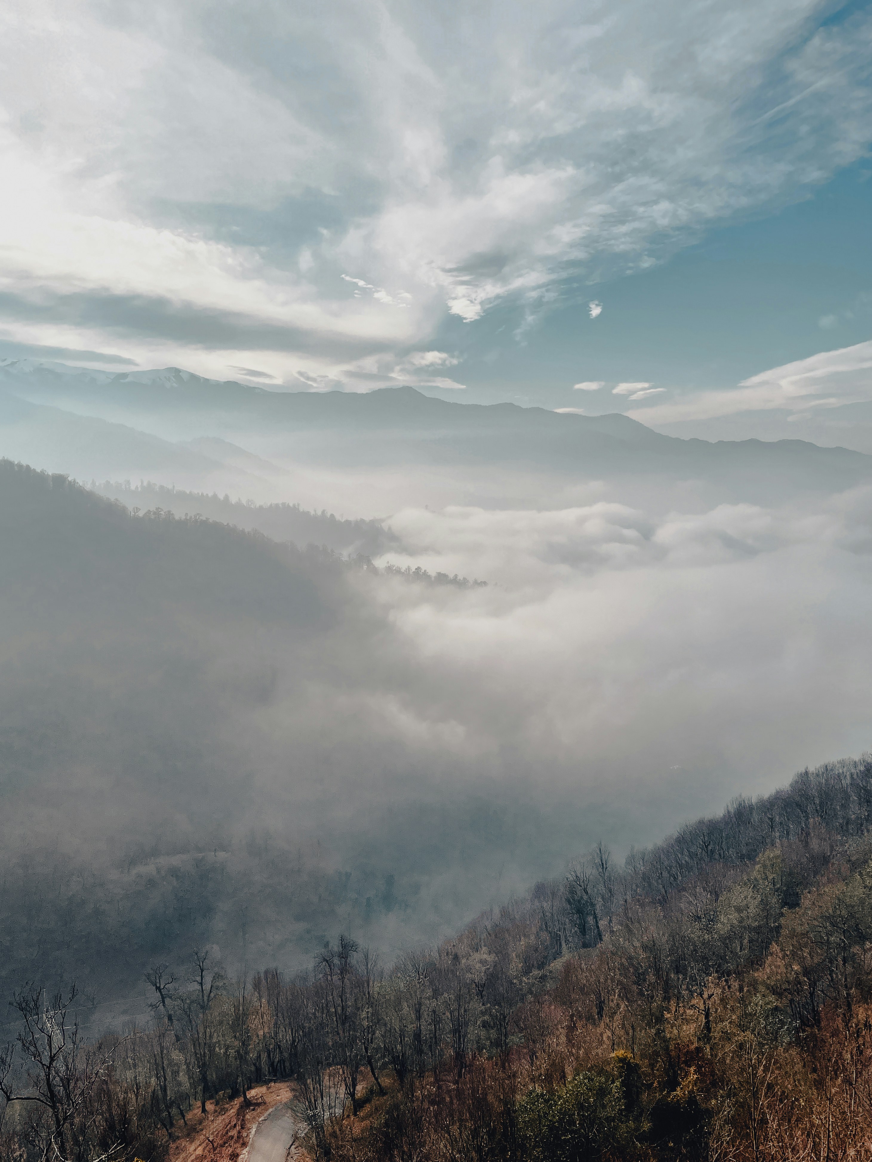 Photo by behy_studio