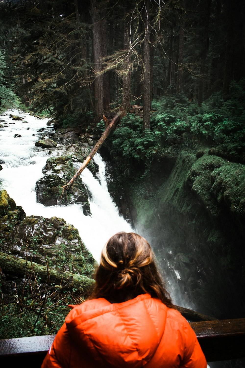 a woman in a red jacket looking at a waterfall