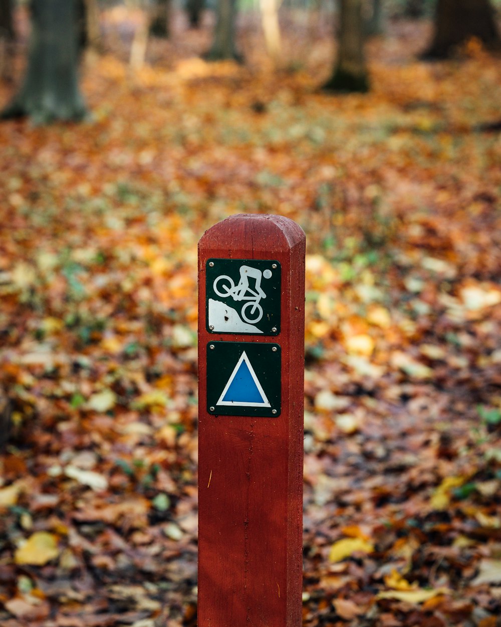 a wooden sign with a bicycle on it in the woods