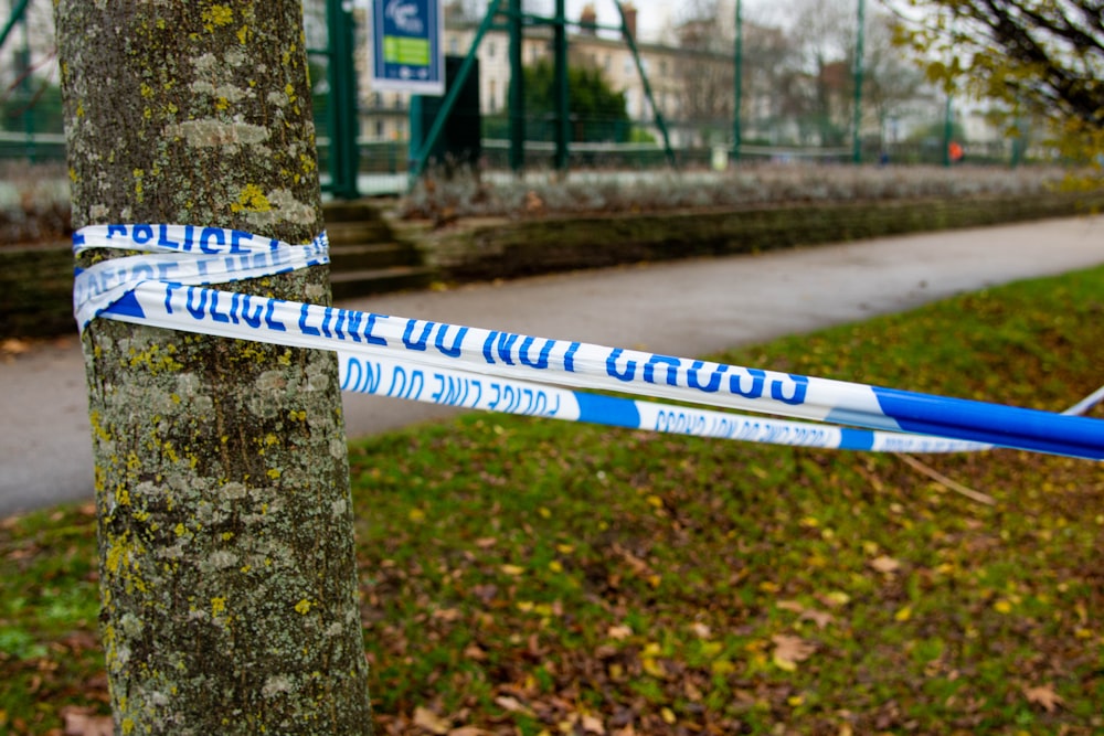 a close up of a blue and white police tape on a tree