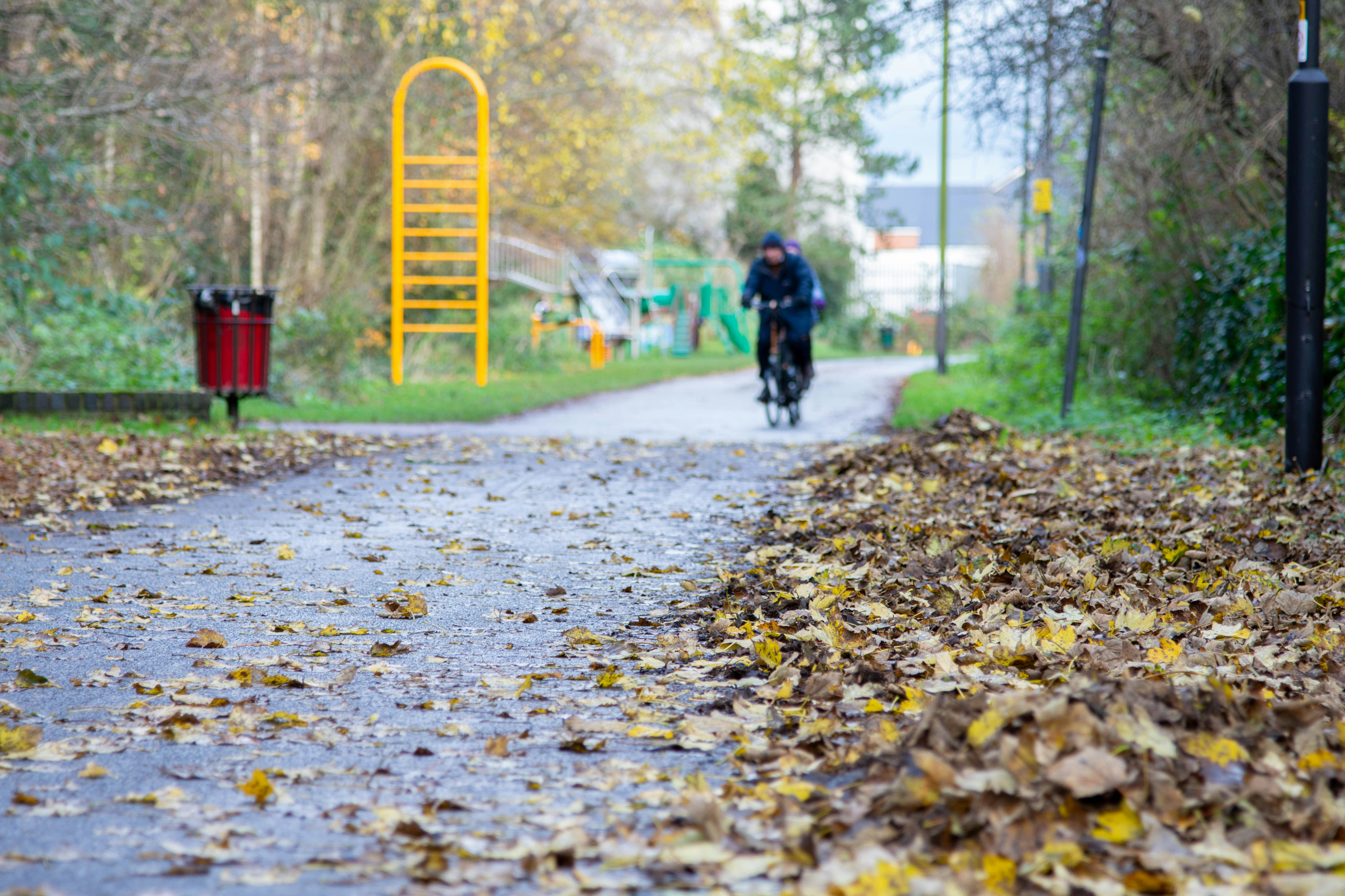 Photo by maplerockdesign