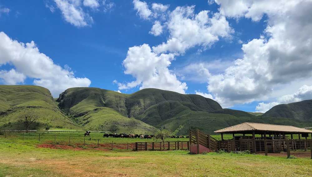 a grassy field with mountains in the background