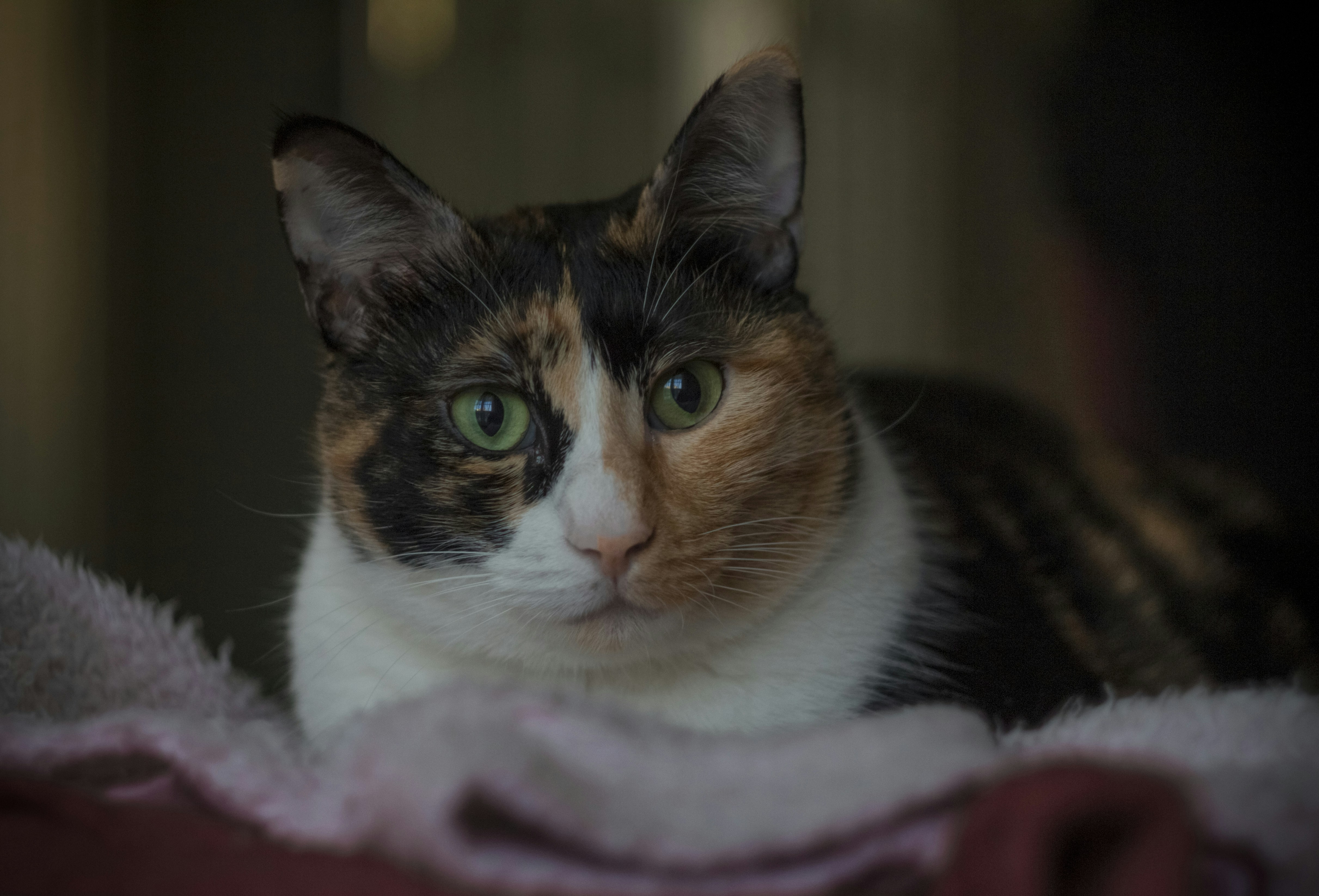 Photo by serenaclerio