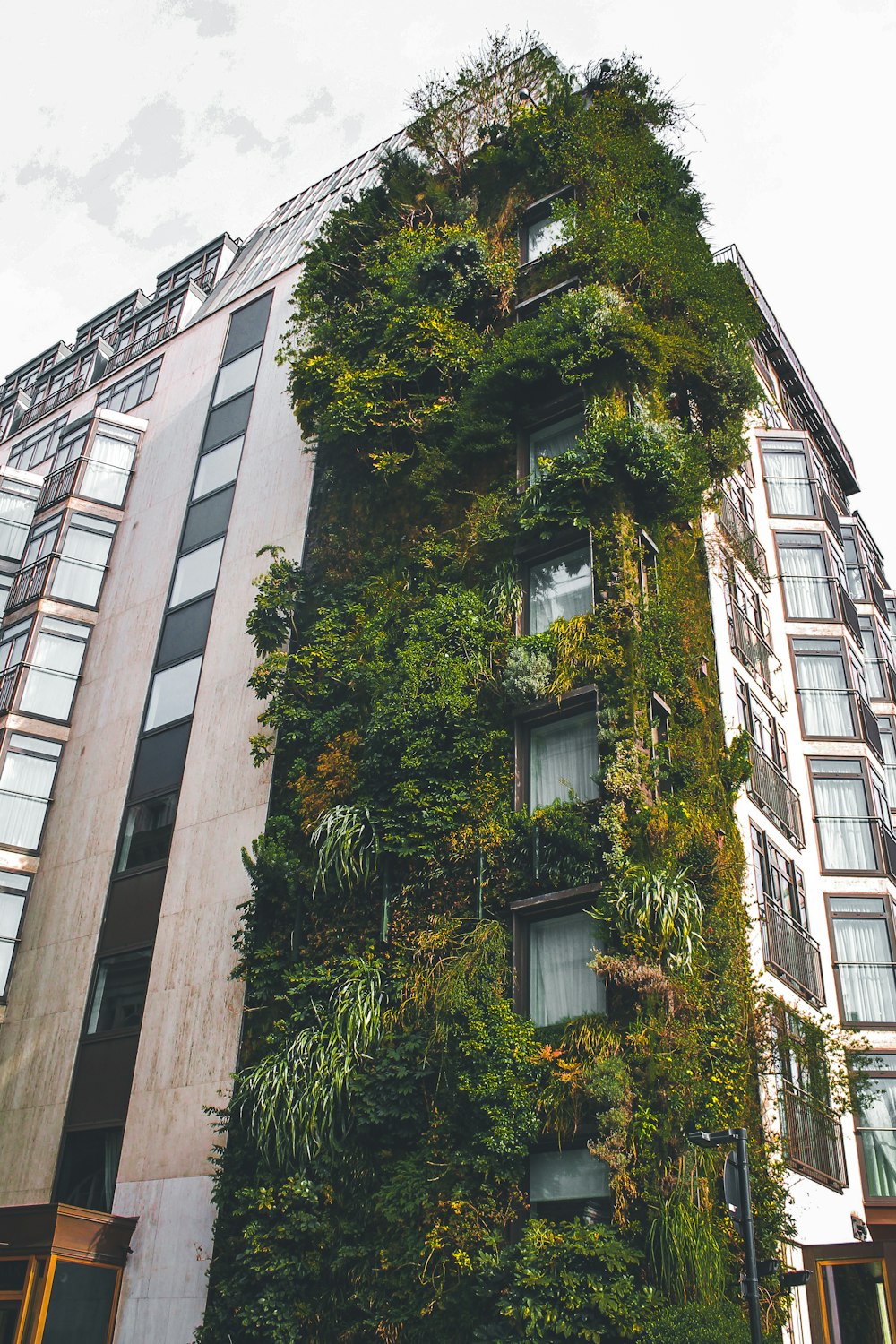 a very tall building with a bunch of plants growing on it