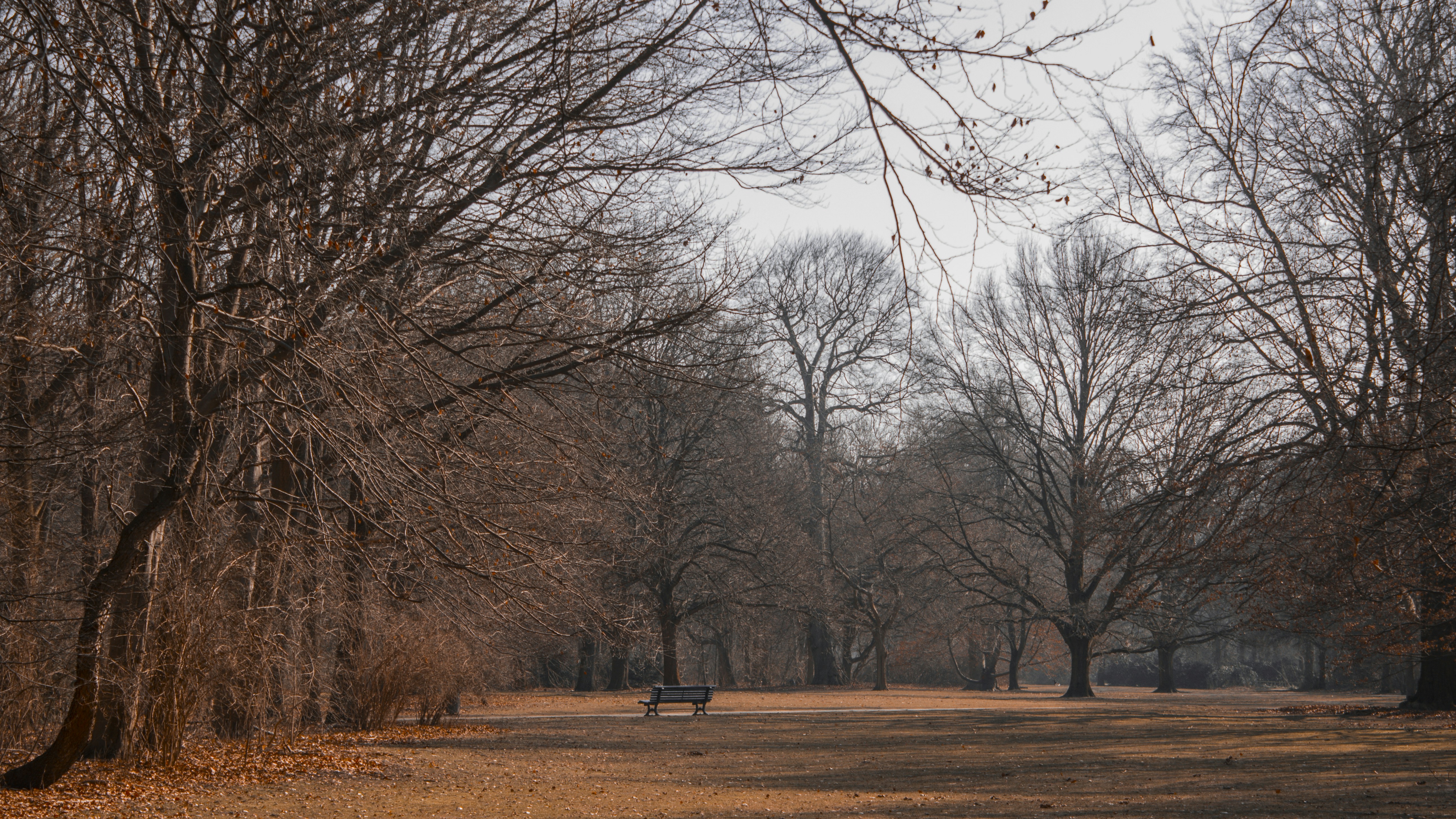 Photo by serenaclerio