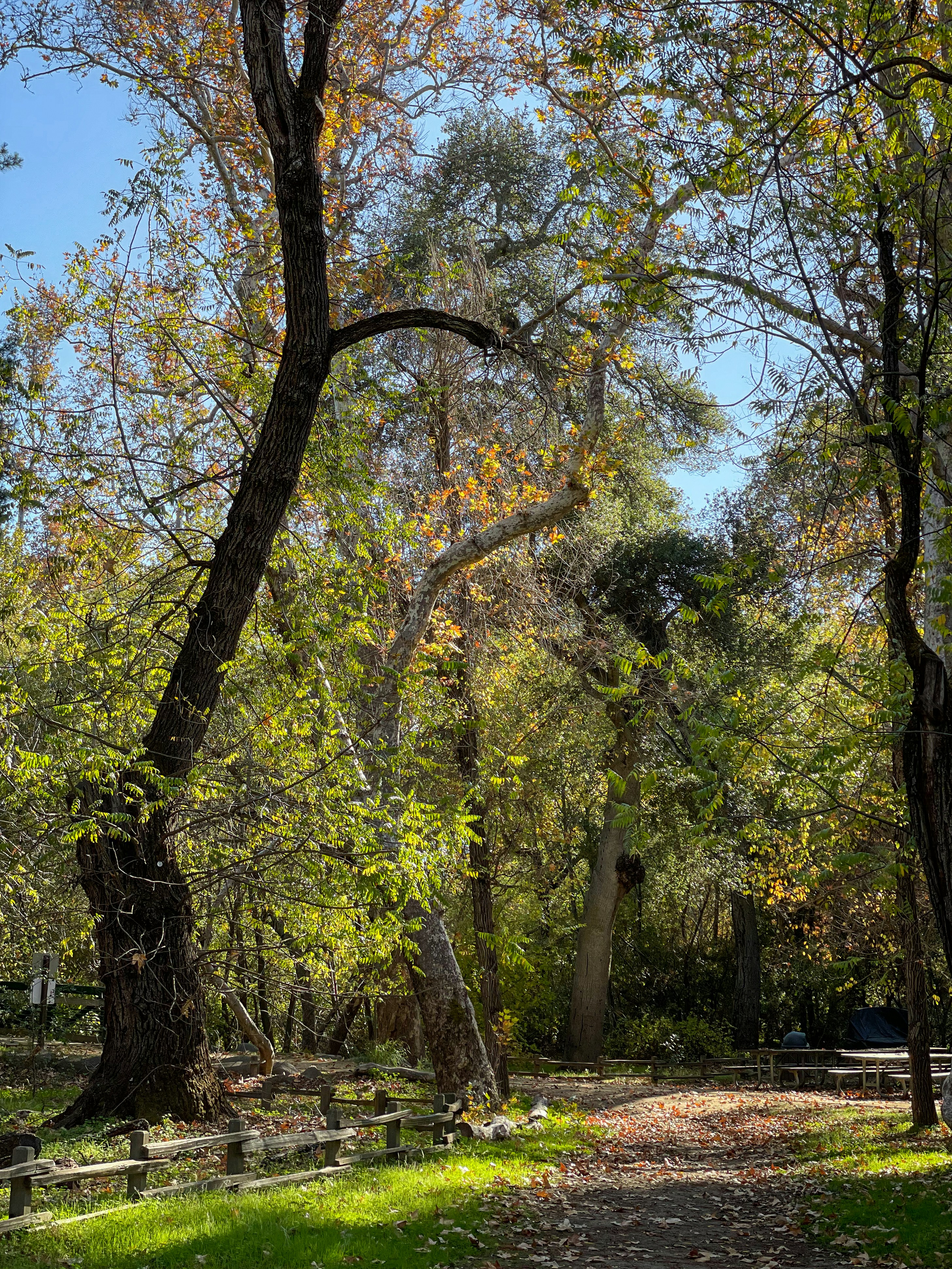 Photo by tuninglever