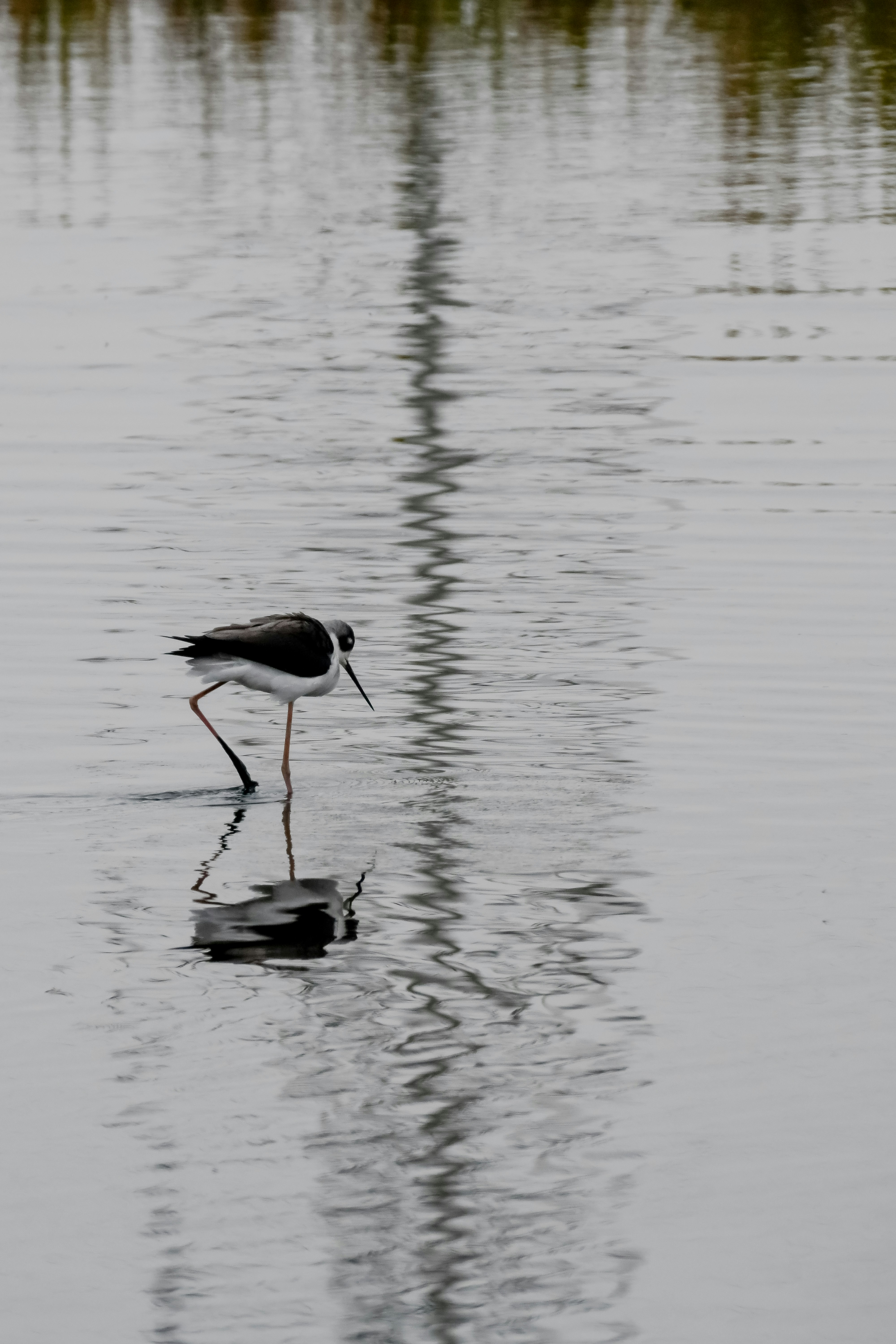 Photo by tuninglever