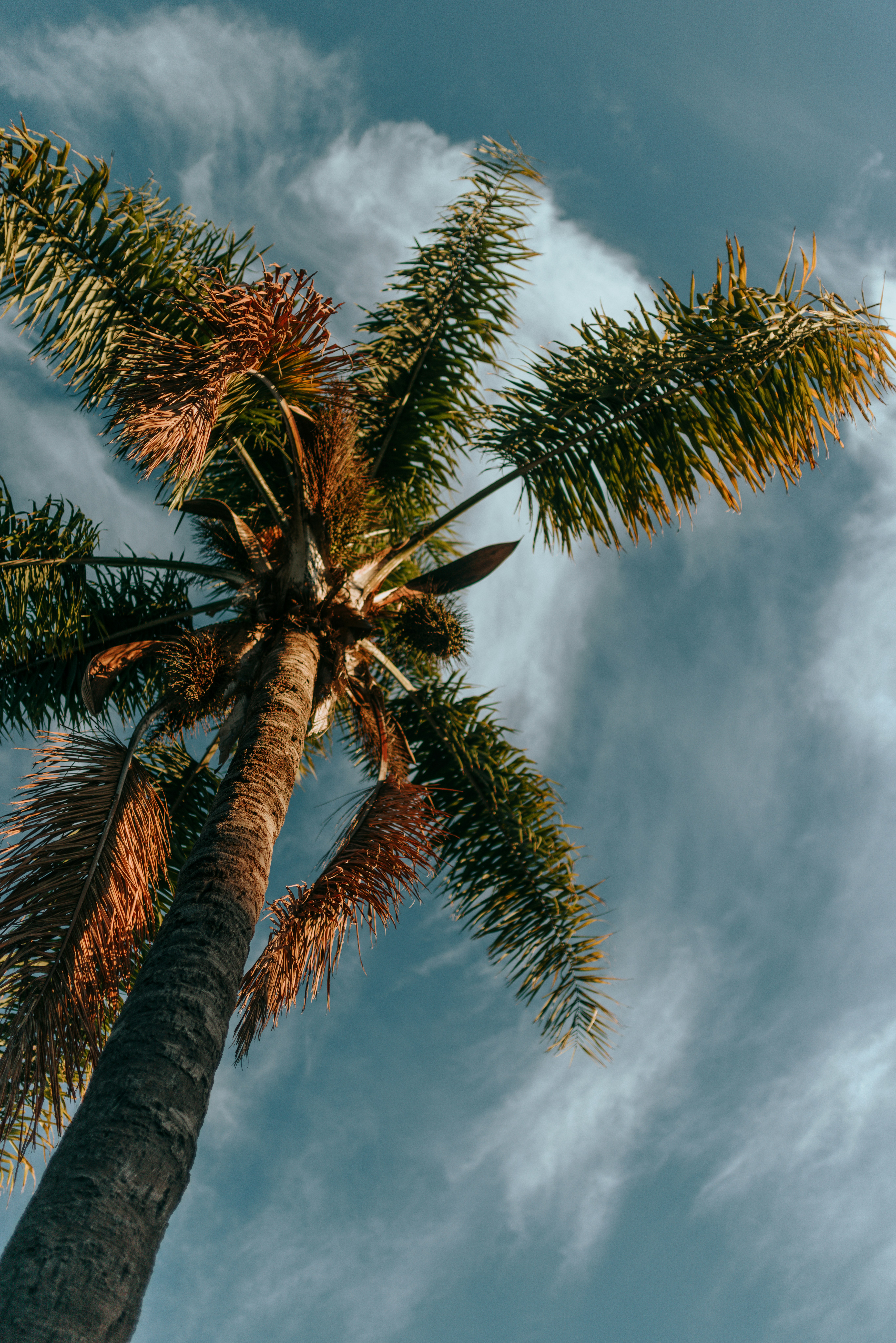 Photo by nate_dumlao