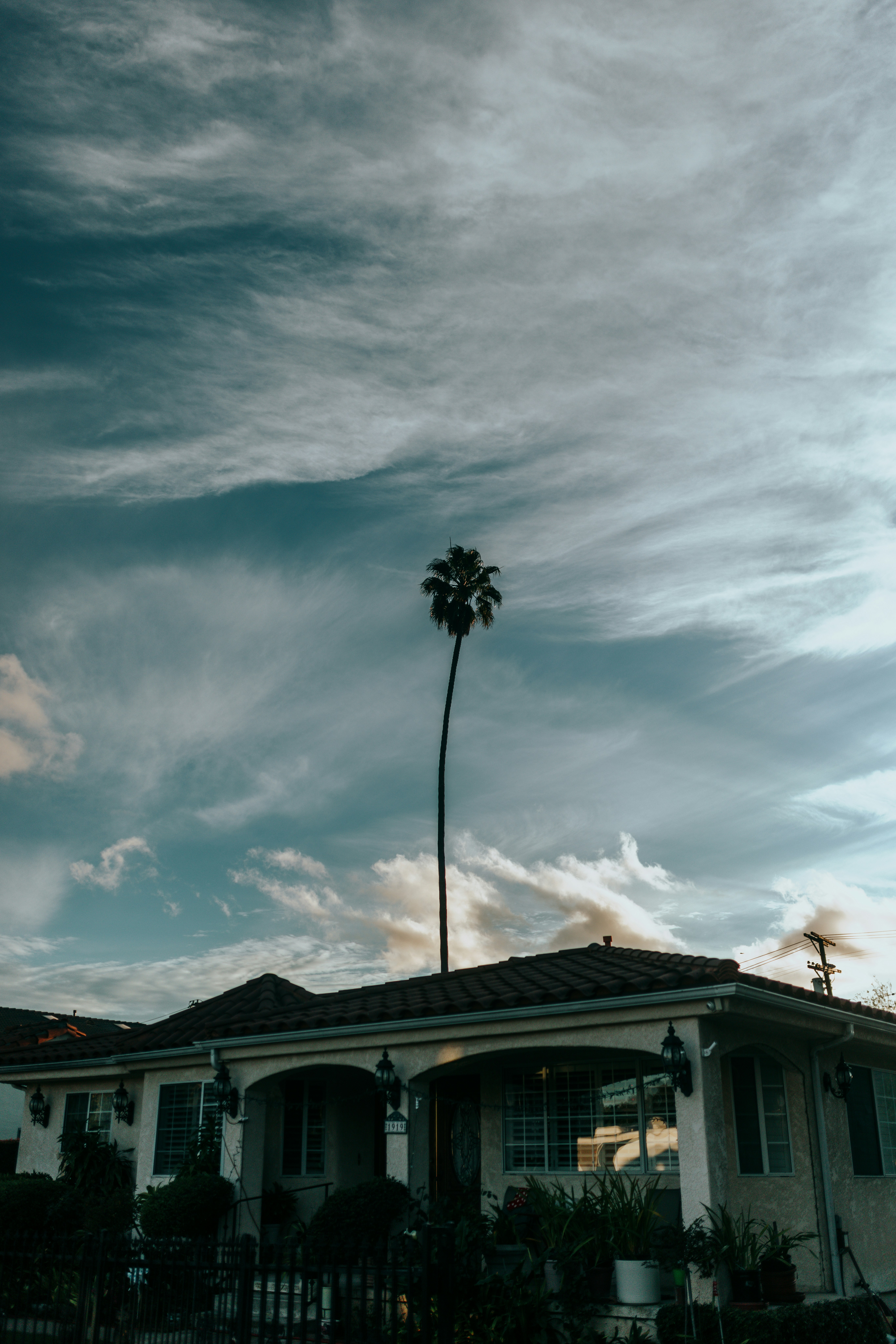 Photo by nate_dumlao