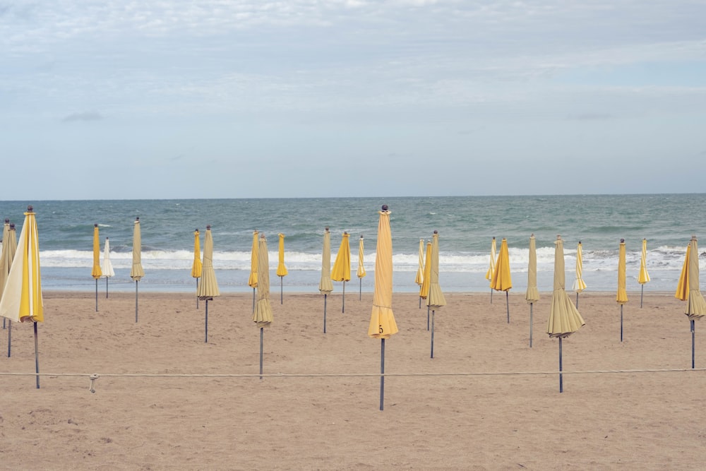 a bunch of umbrellas that are on a beach