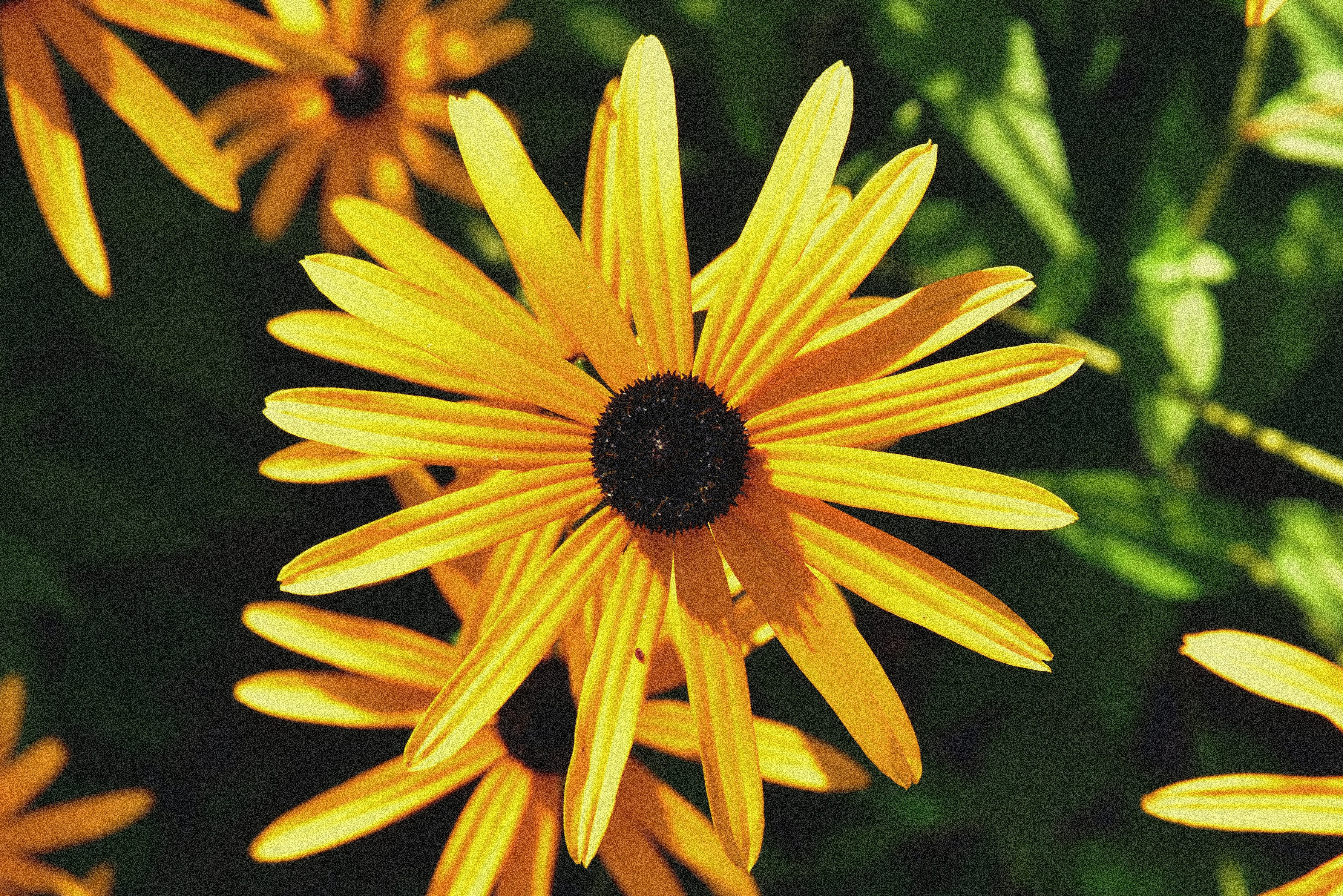Photo by upamietnik