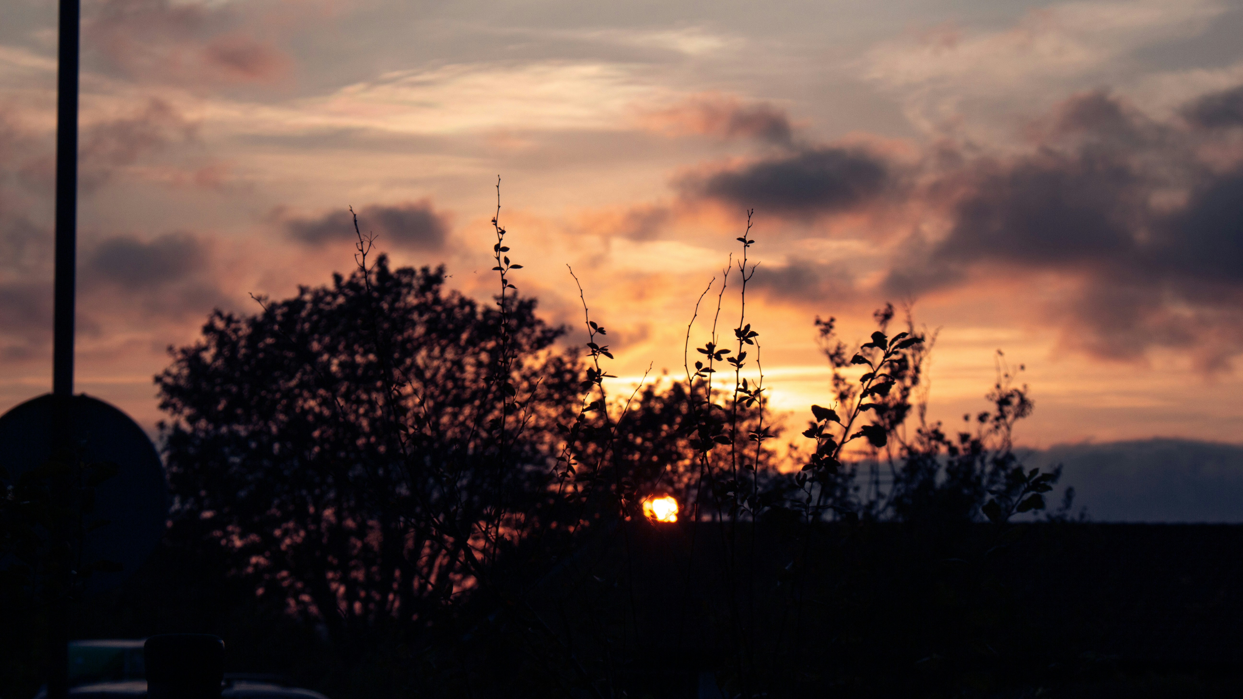 Photo by saroshnasir