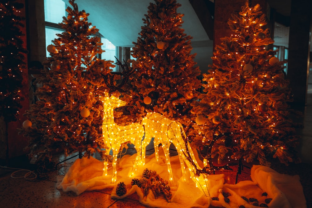 a lighted giraffe in front of christmas trees