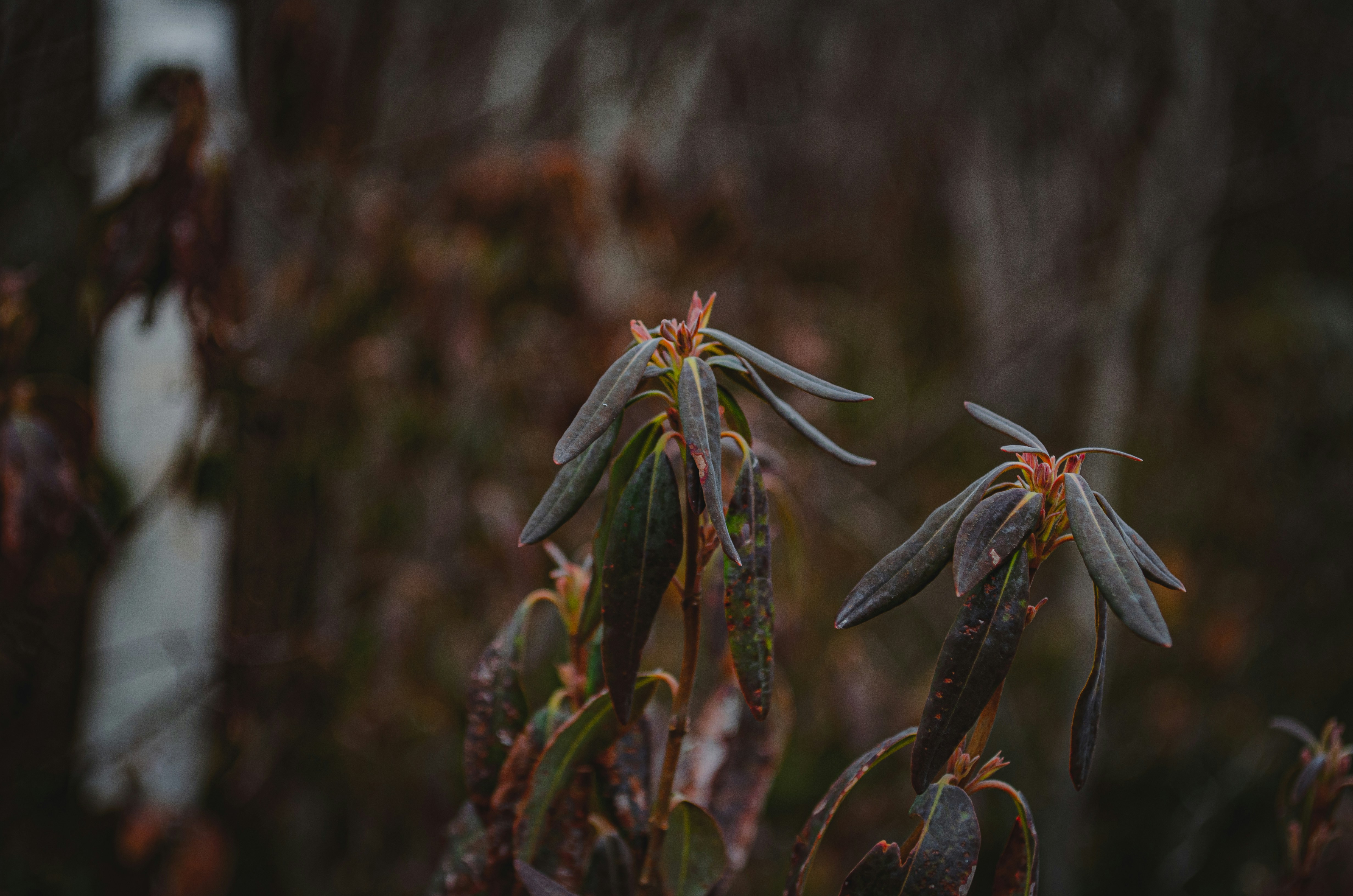 Photo by codywestphoto