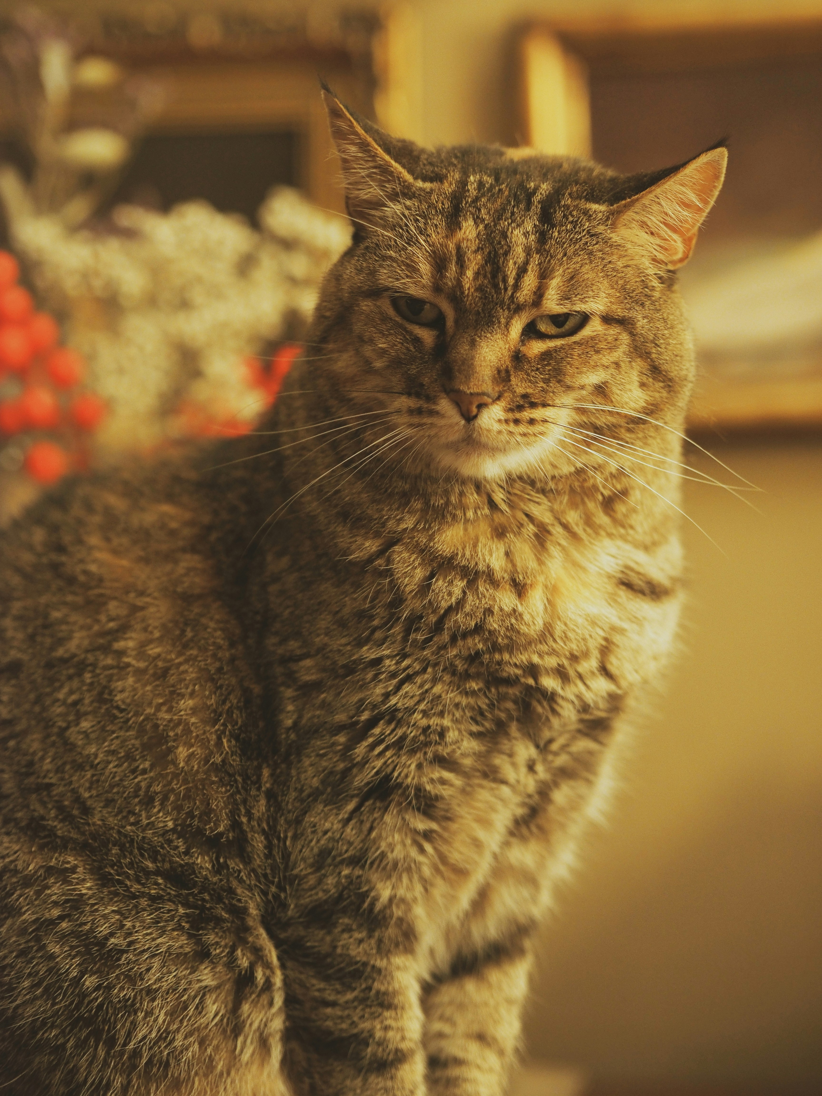 Photo by archerallstars