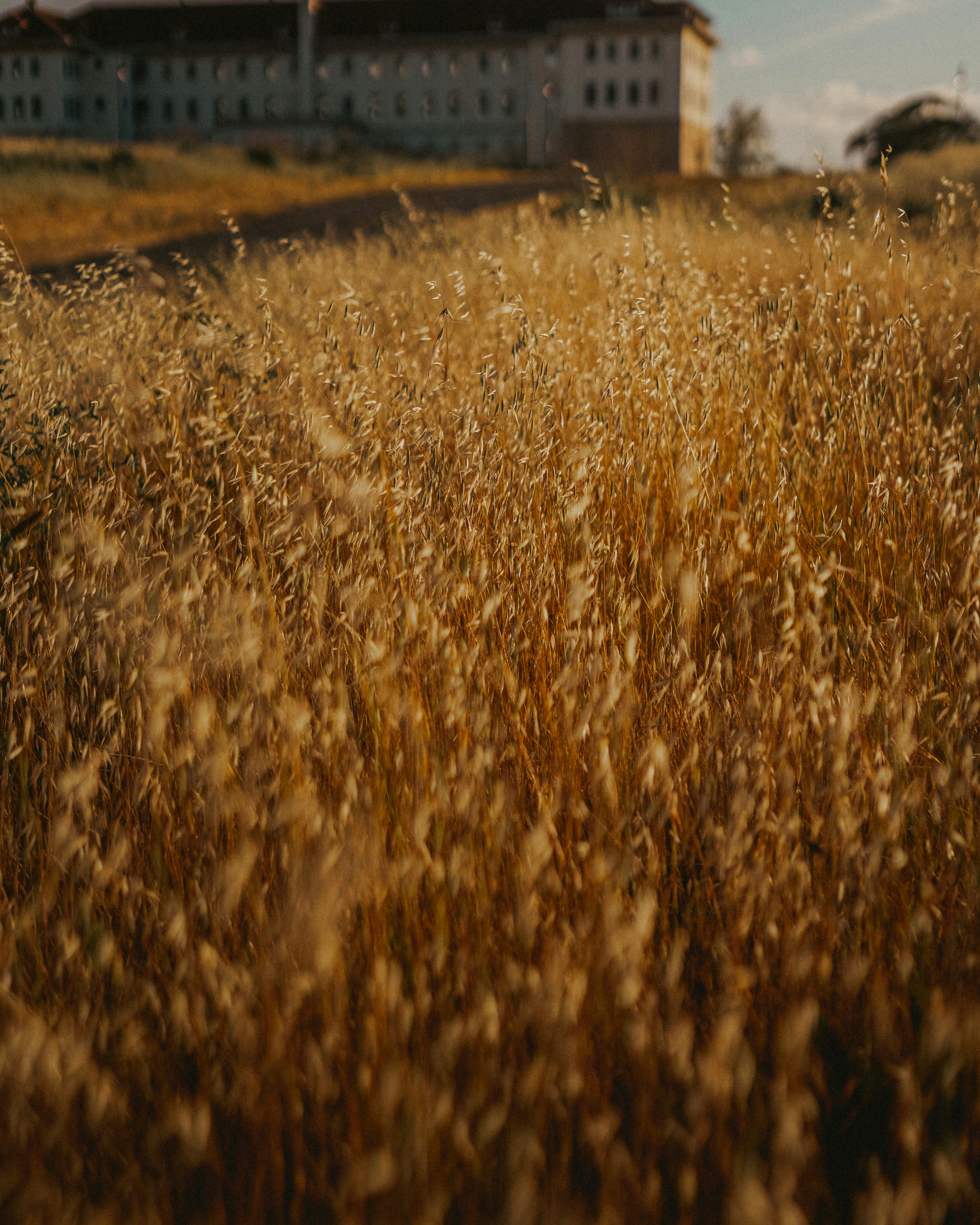 Photo by kalaniparker