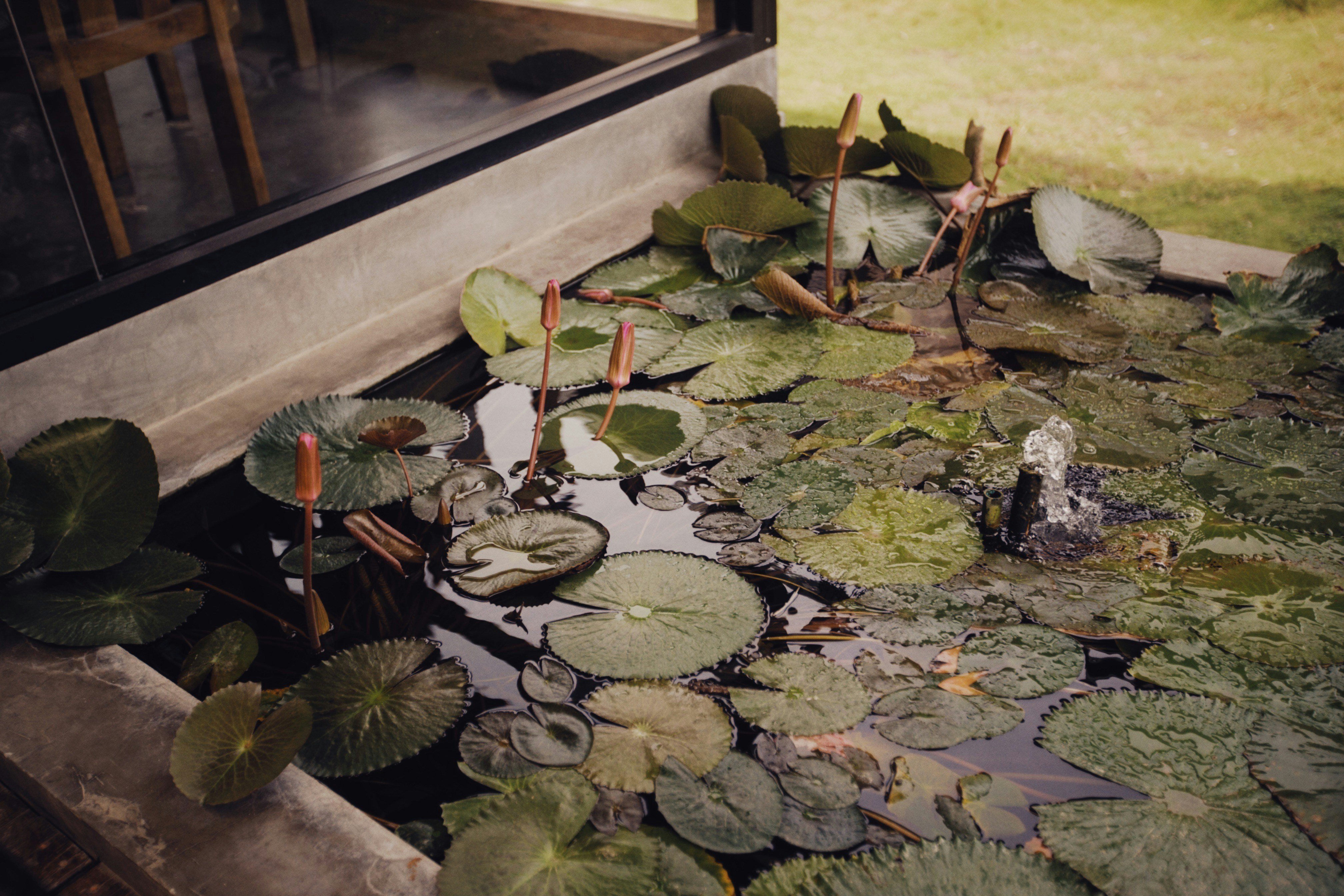 Photo by alexeydemidov