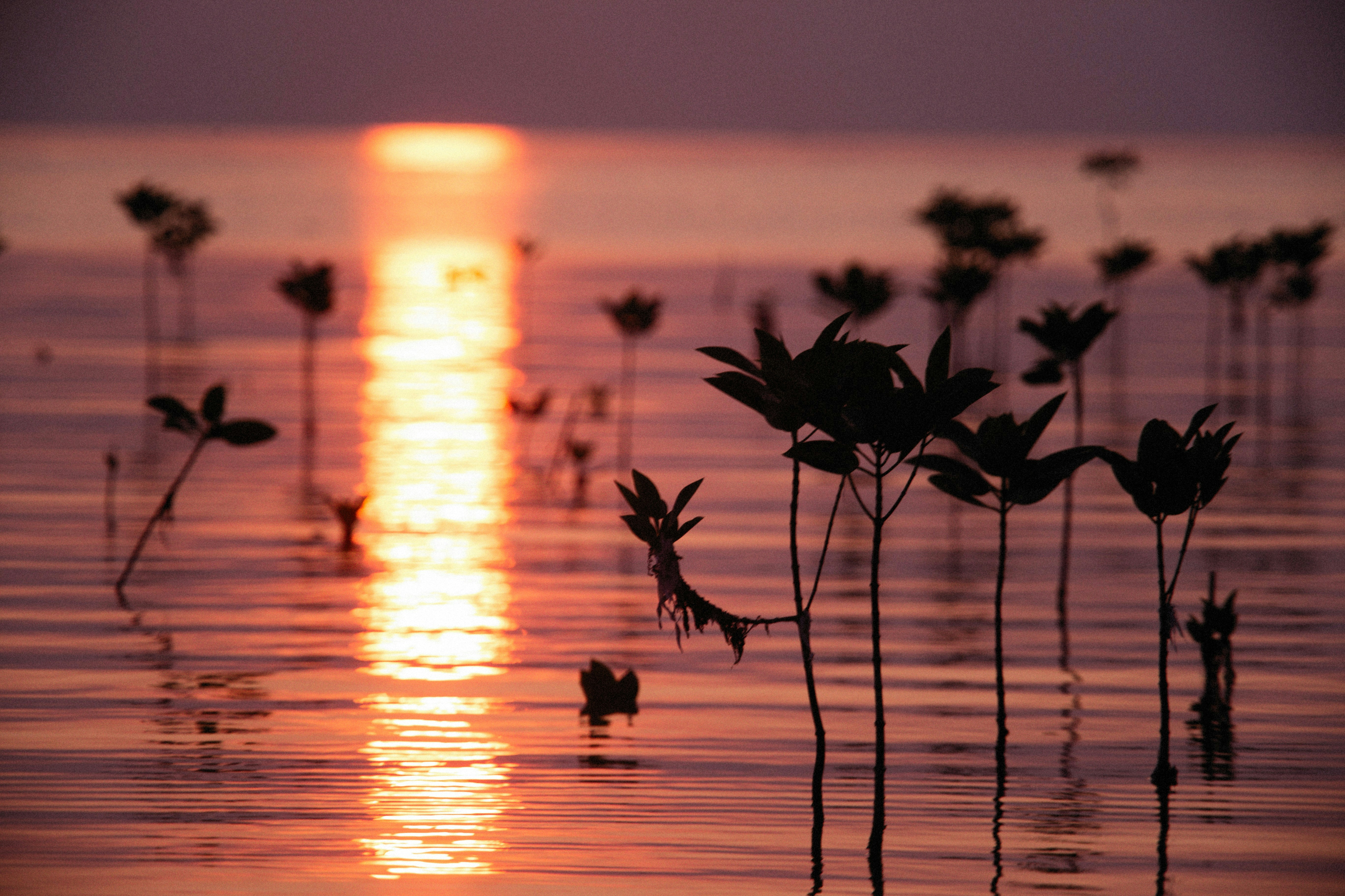 Photo by alexeydemidov