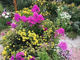 A colorful garden with abundant blooming flowers, including vibrant pink and yellow blossoms. The garden features a mix of green foliage and an arrangement of flowers that creates a lively atmosphere. Paved paths and a wooden structure are visible in the background, enhancing the overall scenic beauty of the garden.