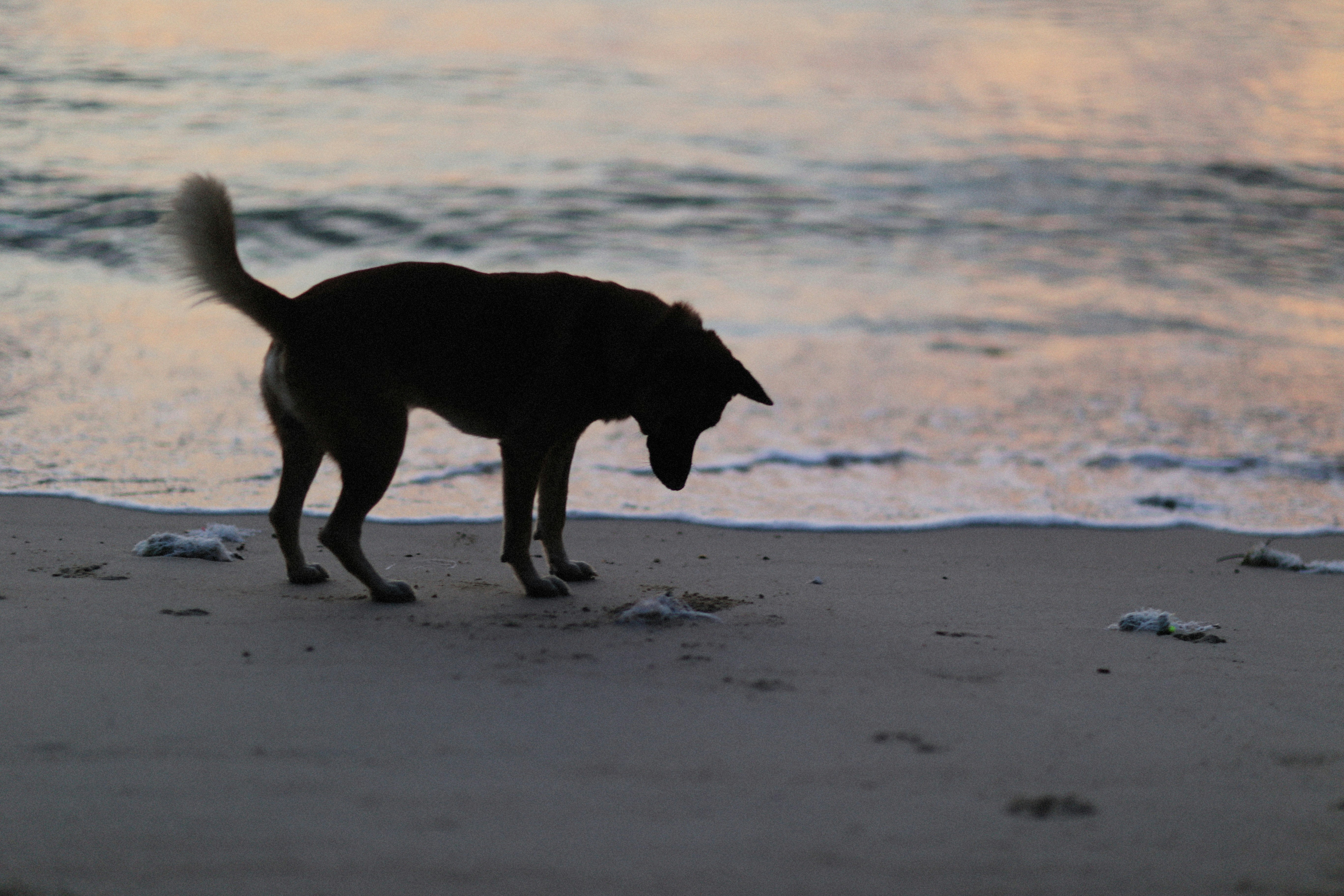 Photo by alexeydemidov