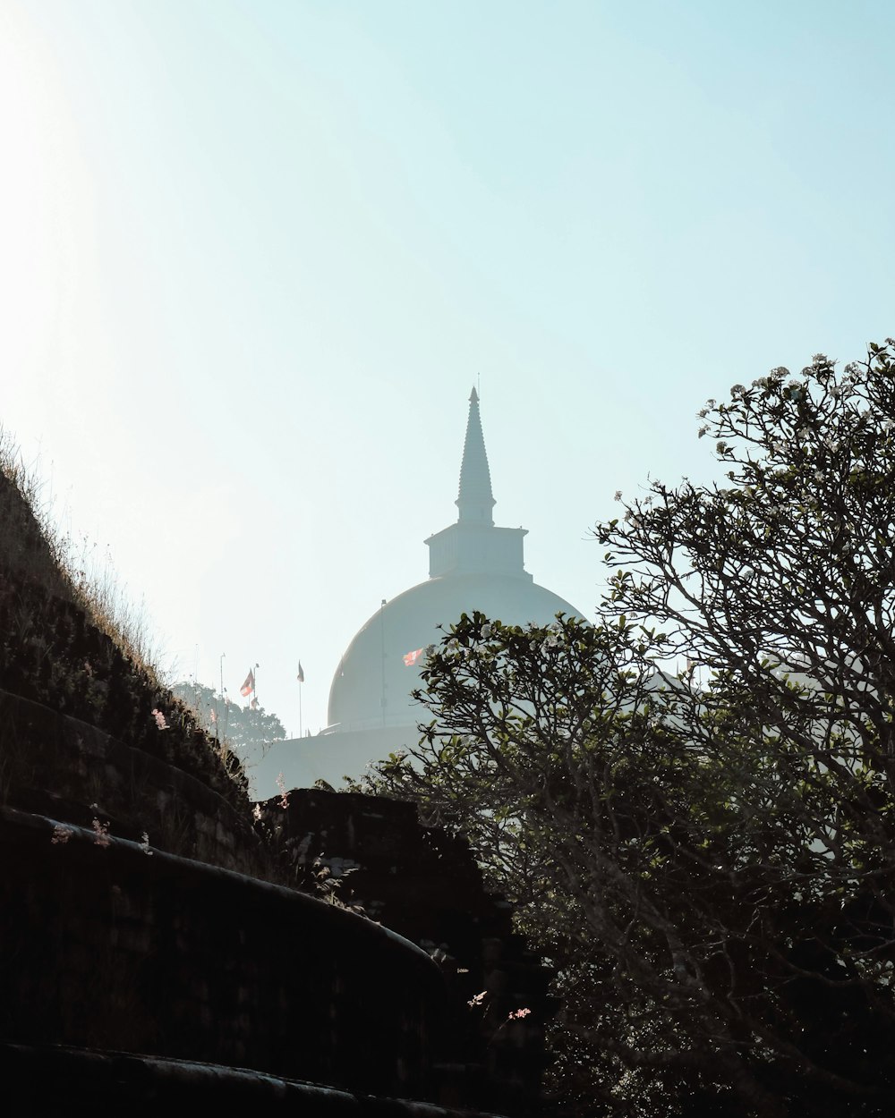 uma vista de um edifício com um campanário ao fundo