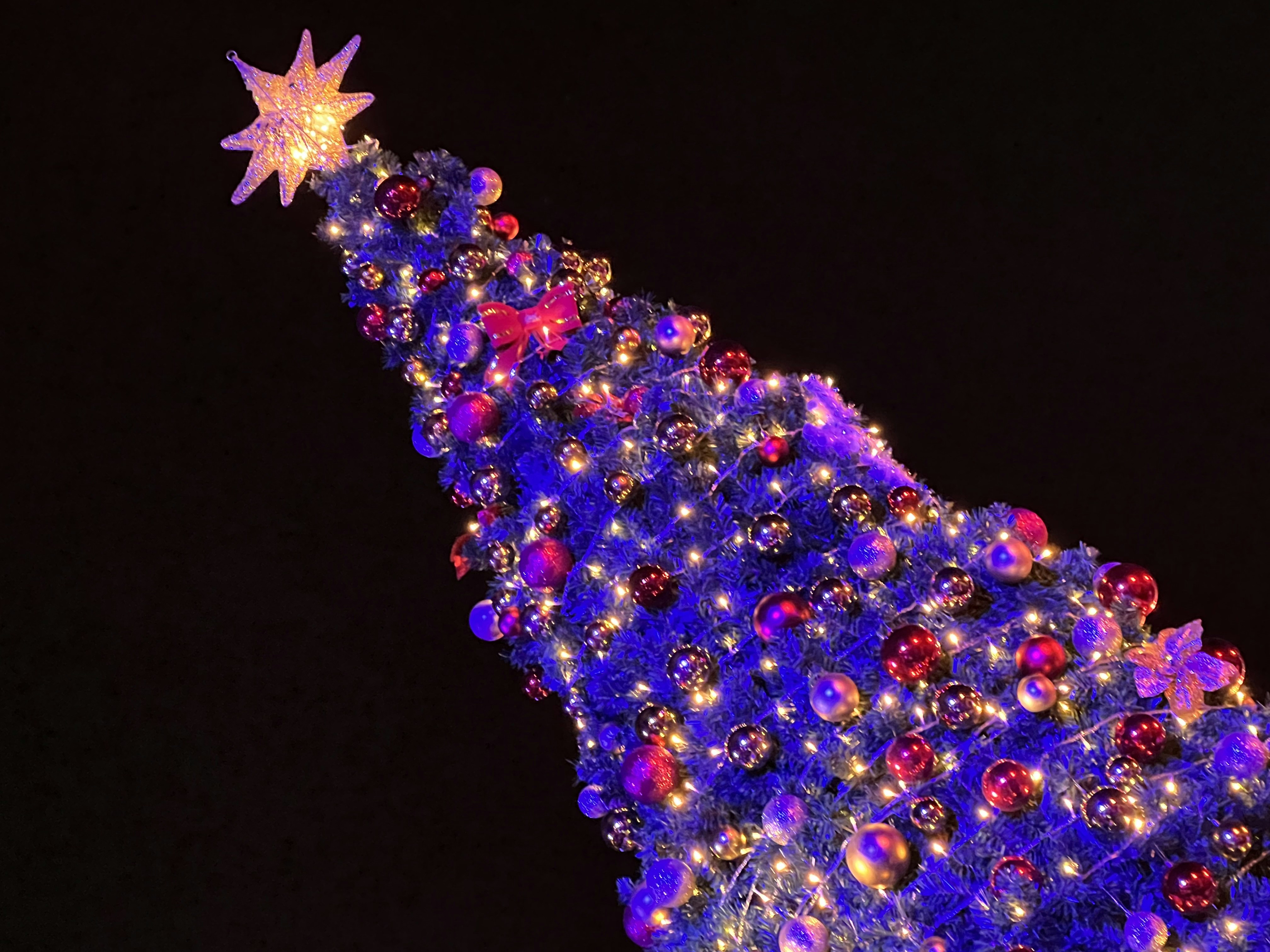 uma grande árvore de Natal é iluminada à noite