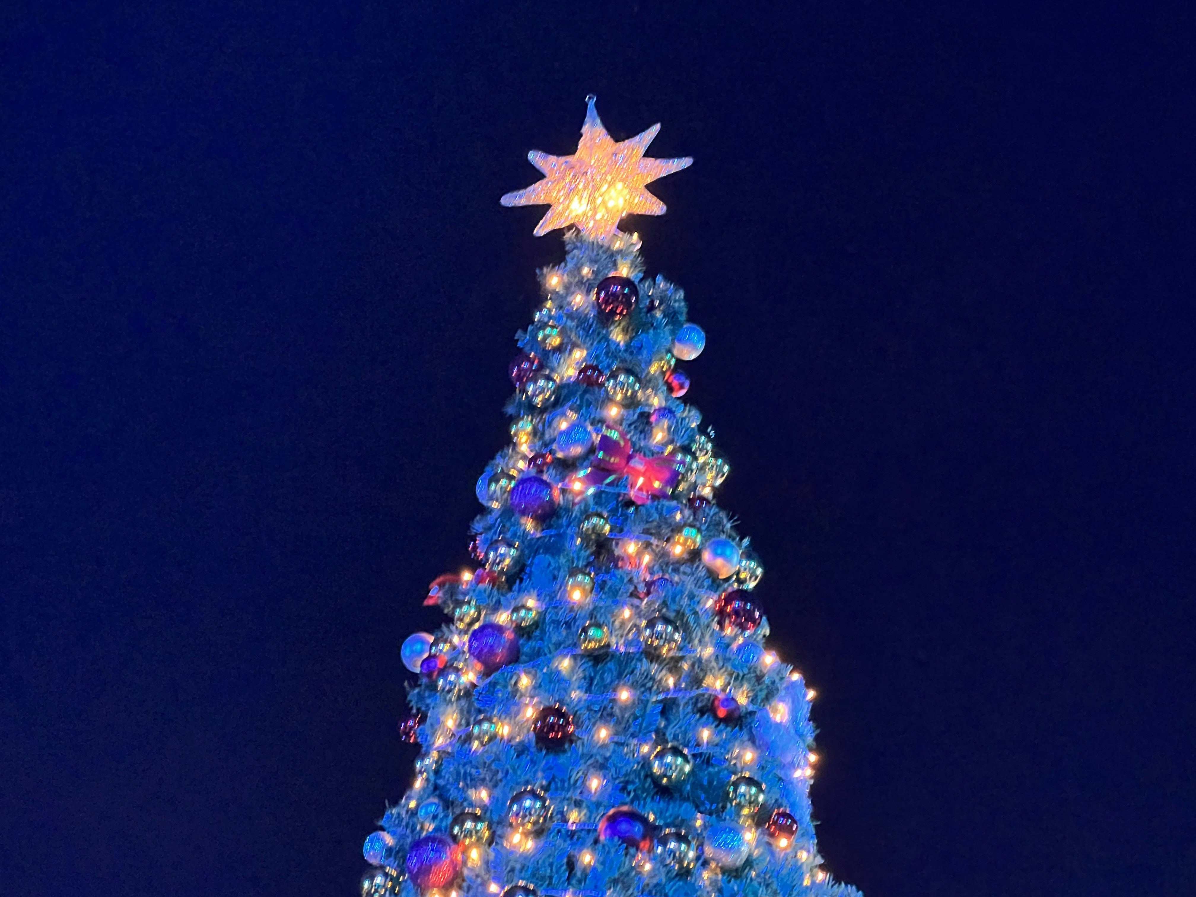 Un sapin de Noël brillamment éclairé avec une étoile sur le dessus