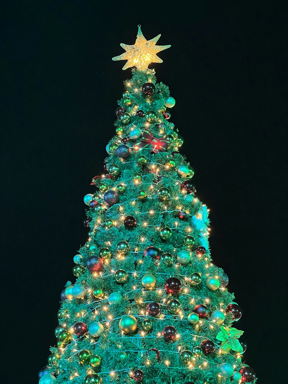 a large christmas tree is lit up at night