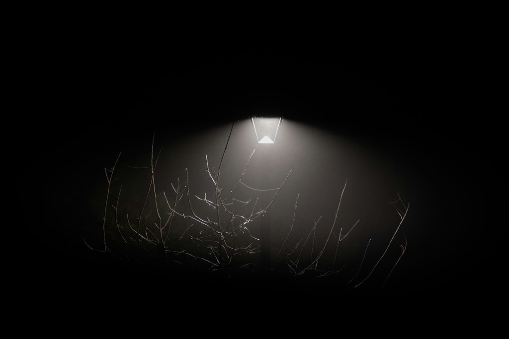 Outdoor LED Spotlight