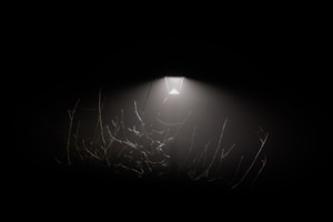 Outdoor LED Spotlight