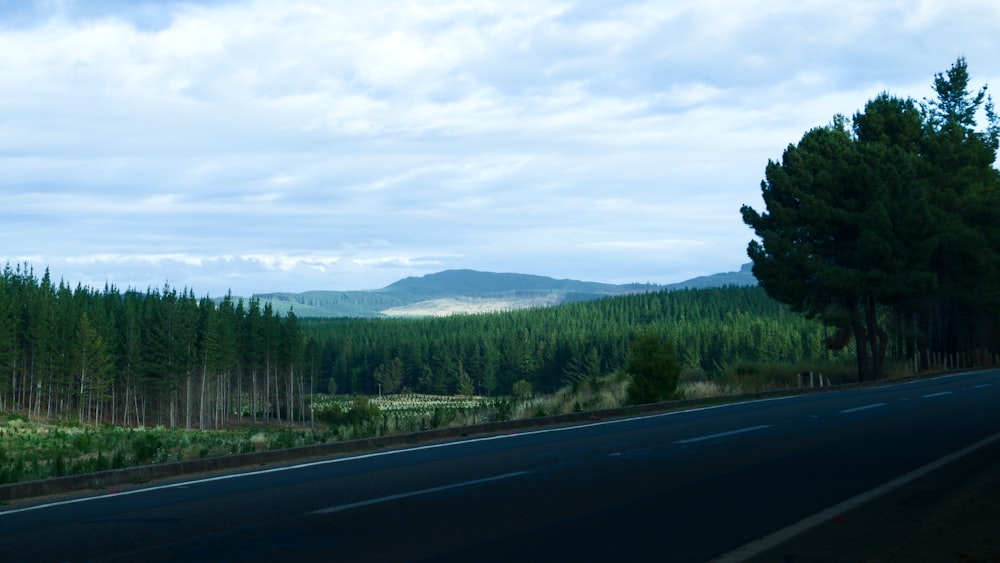 a road in the middle of a forest with mountains in the distance