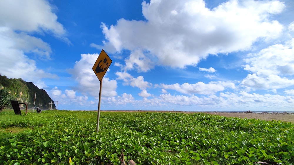 uma placa no meio de um campo verde exuberante