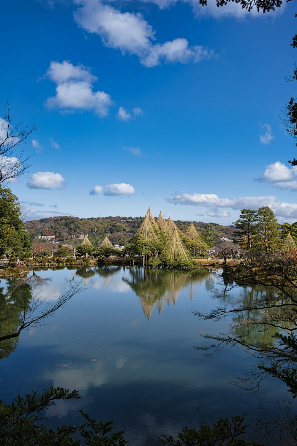 a lake surrounded by lots of trees under a blue sky