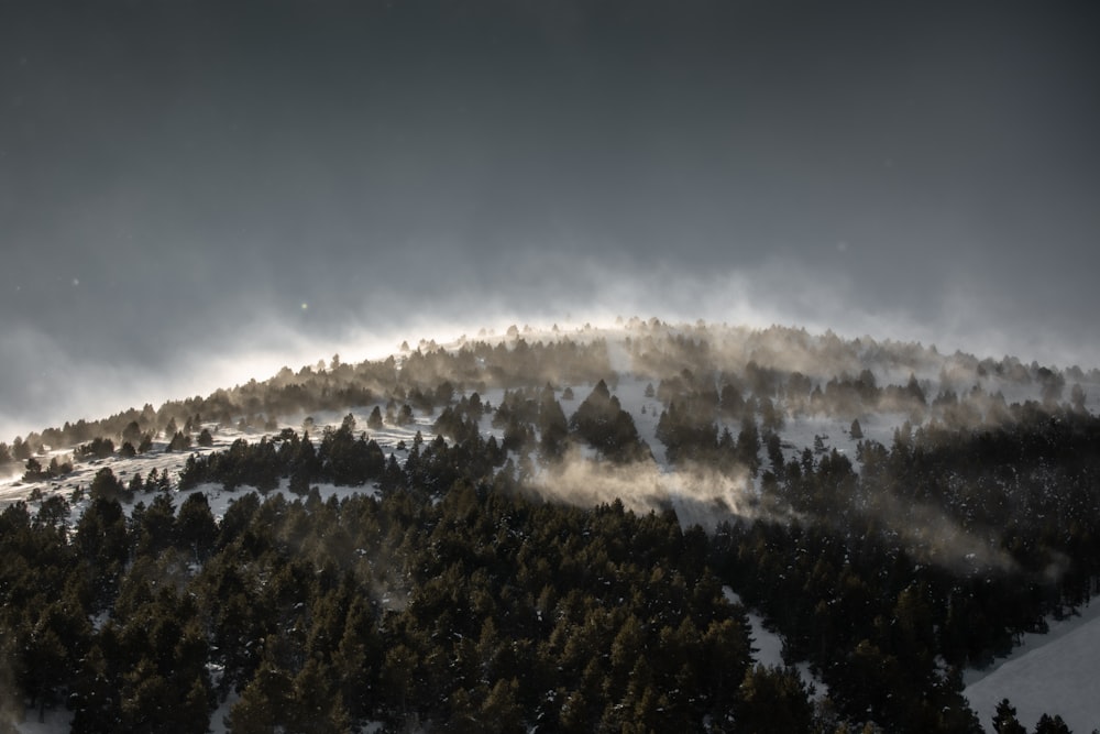 Una montagna coperta di neve e alberi sotto un cielo nuvoloso