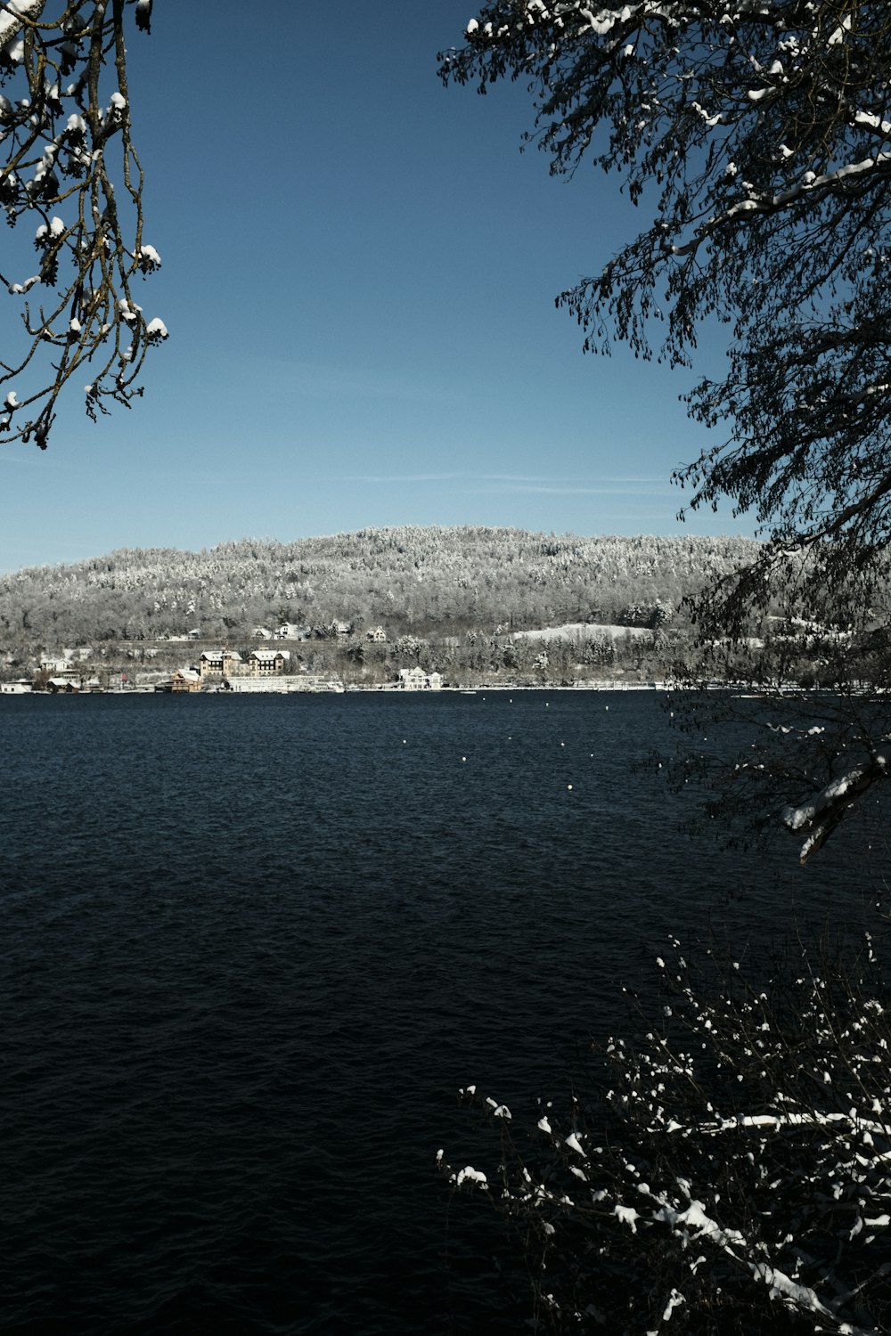 a body of water surrounded by snow covered trees