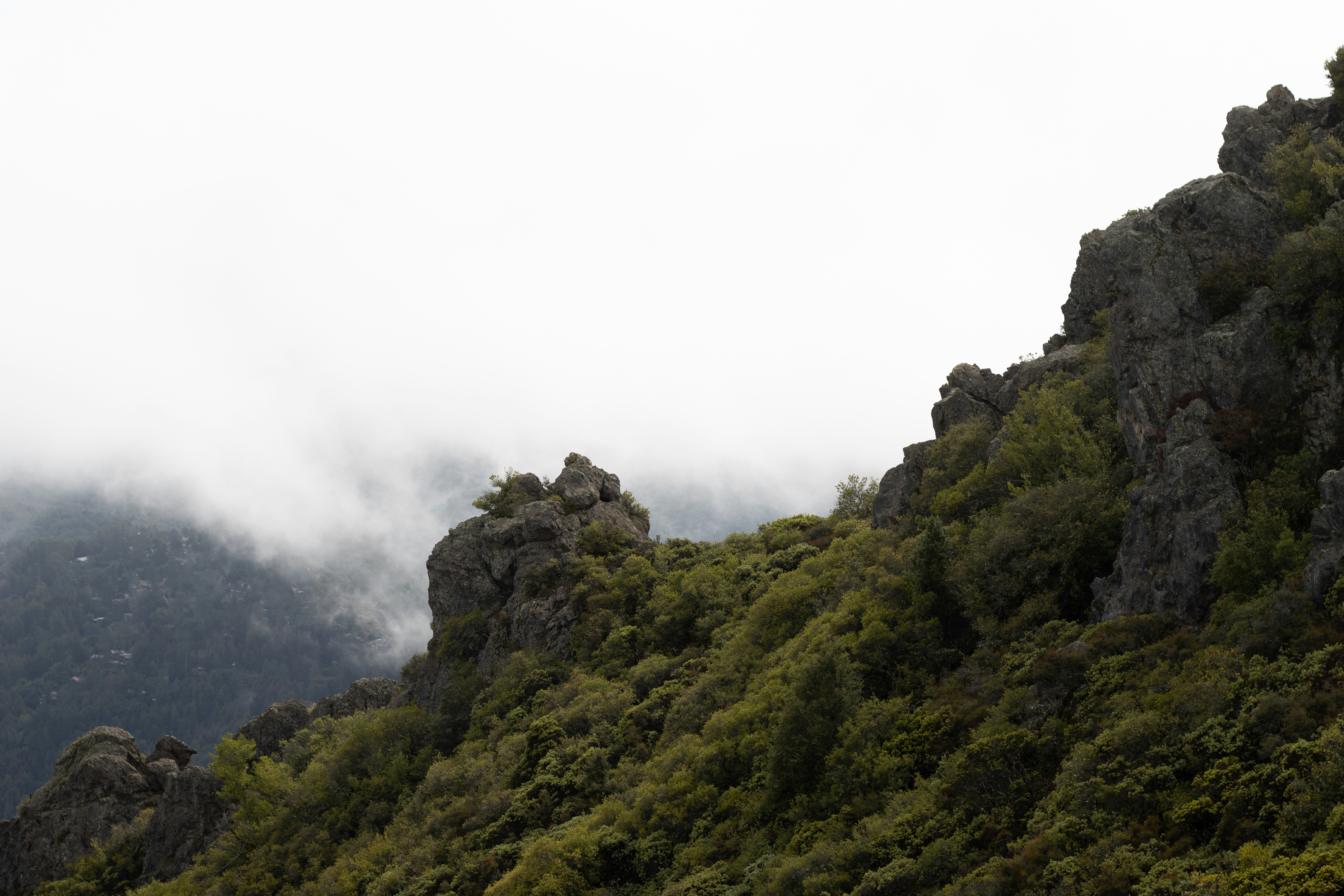 Photo by jeremiahjrross