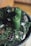 Two green candles are placed upright on a decorative wreath made from evergreen branches, pinecones, and small star-shaped ornaments. The setup is arranged on a metallic tray with intricate patterns. The overall composition evokes a festive and natural aesthetic.