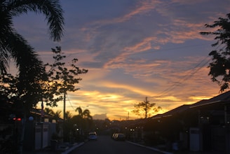 A residential street scene at sunset, with houses on either side and silhouetted trees. The sky is filled with clouds painted orange and purple by the setting sun. Palm trees and utility poles frame the scene, with parked cars along the street.
