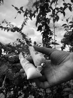 A hand holds two small plastic packages containing a product with labeling. The background shows foliage and a cloudy sky.