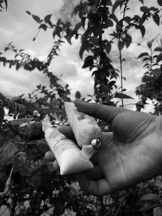 A hand holds two small plastic packages containing a product with labeling. The background shows foliage and a cloudy sky.