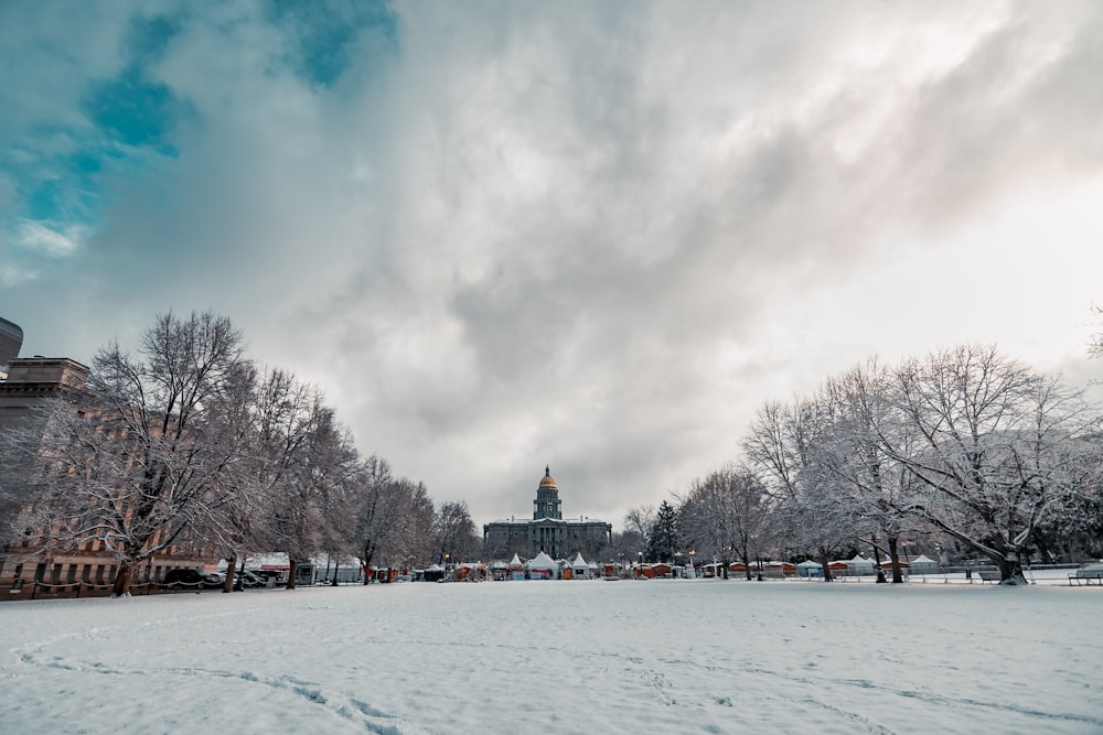 a snow covered field