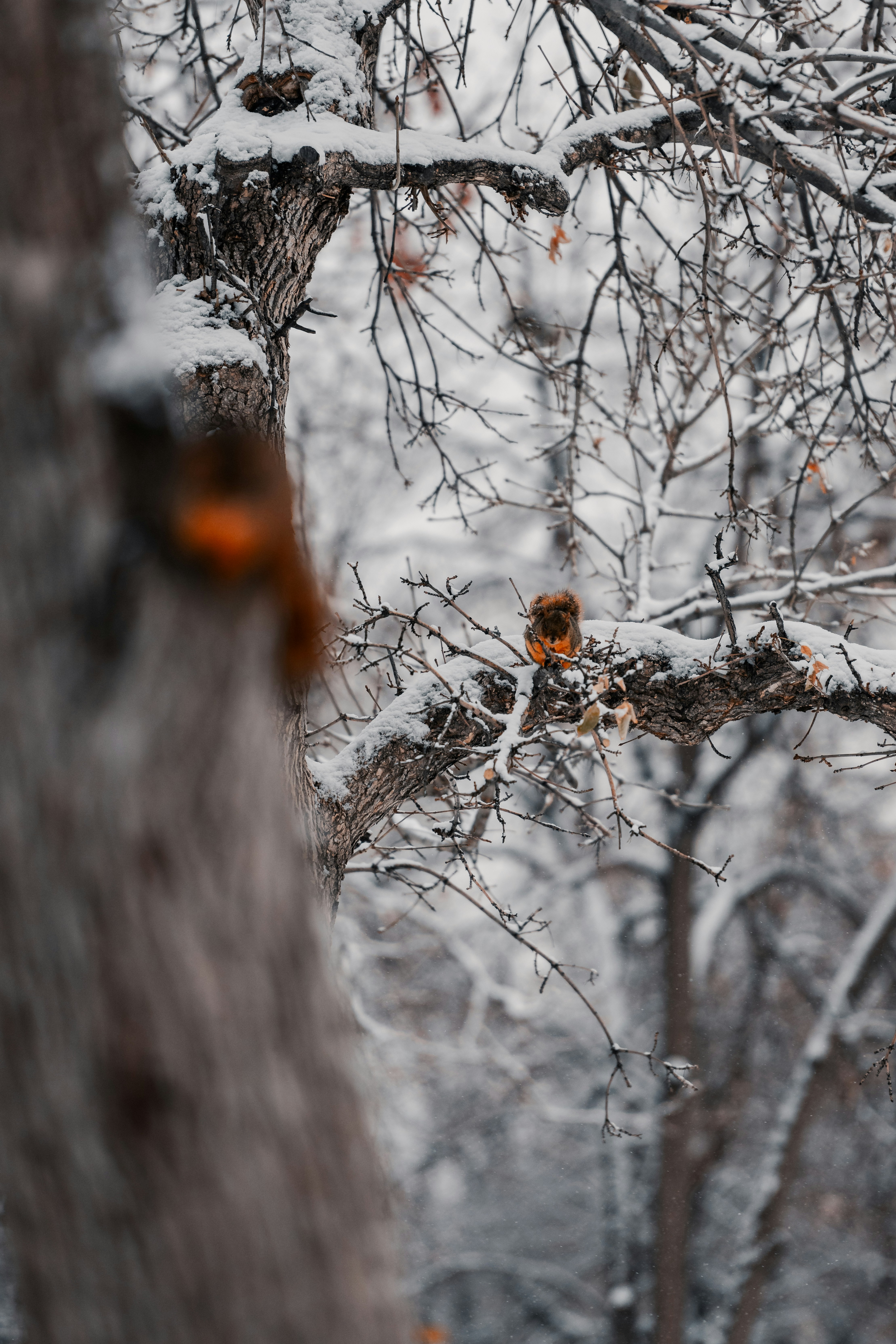 Photo by onthesearchforpineapples