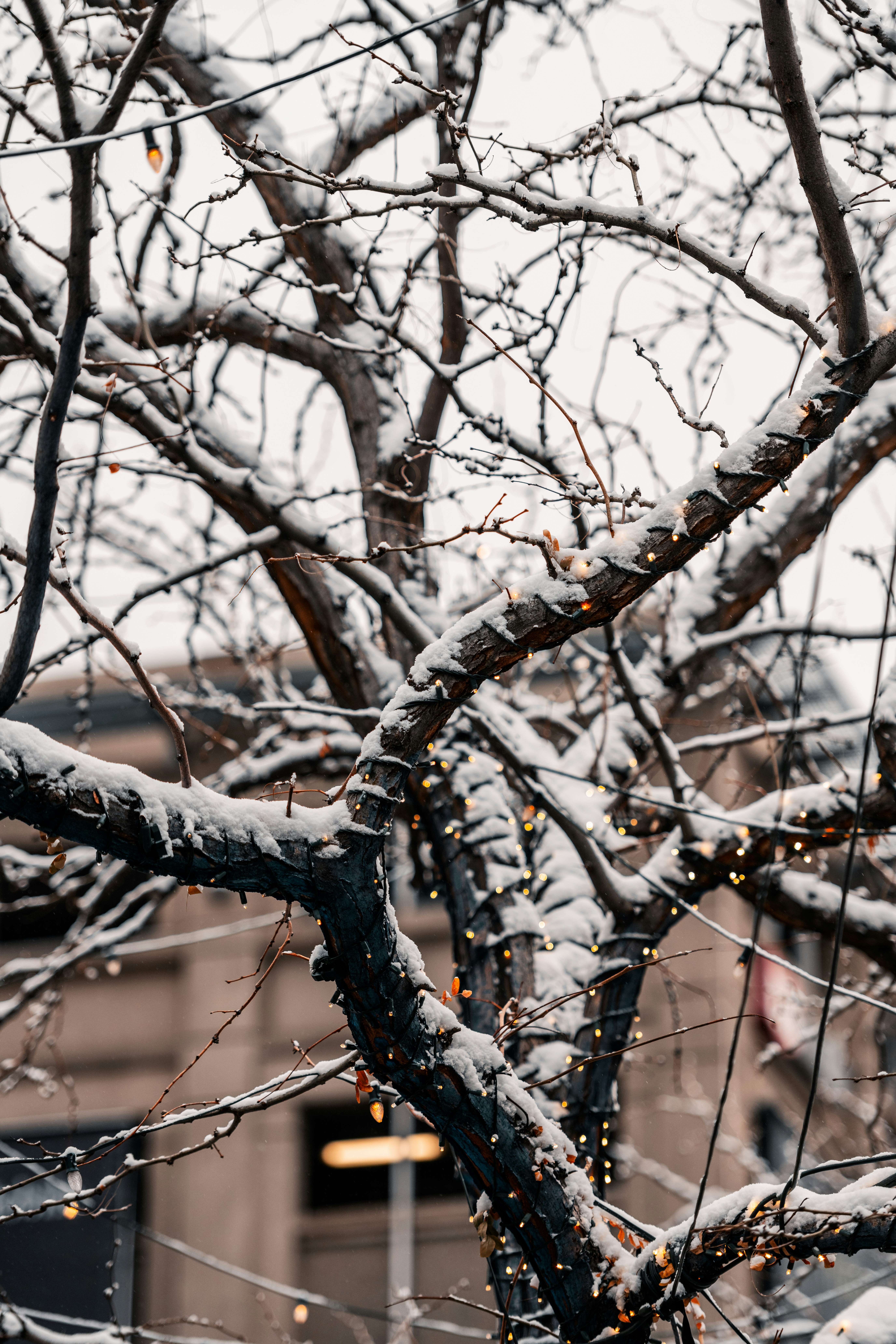 Photo by onthesearchforpineapples