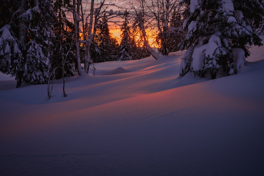the sun is setting in a snowy forest
