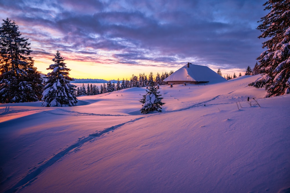 uma colina coberta de neve com árvores e uma casa ao longe