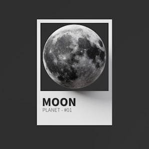 A detailed photograph of the moon is centered within a white-bordered frame against a dark background. Below the image of the moon, the label reads 'MOON PLANET - #01' in bold black text.